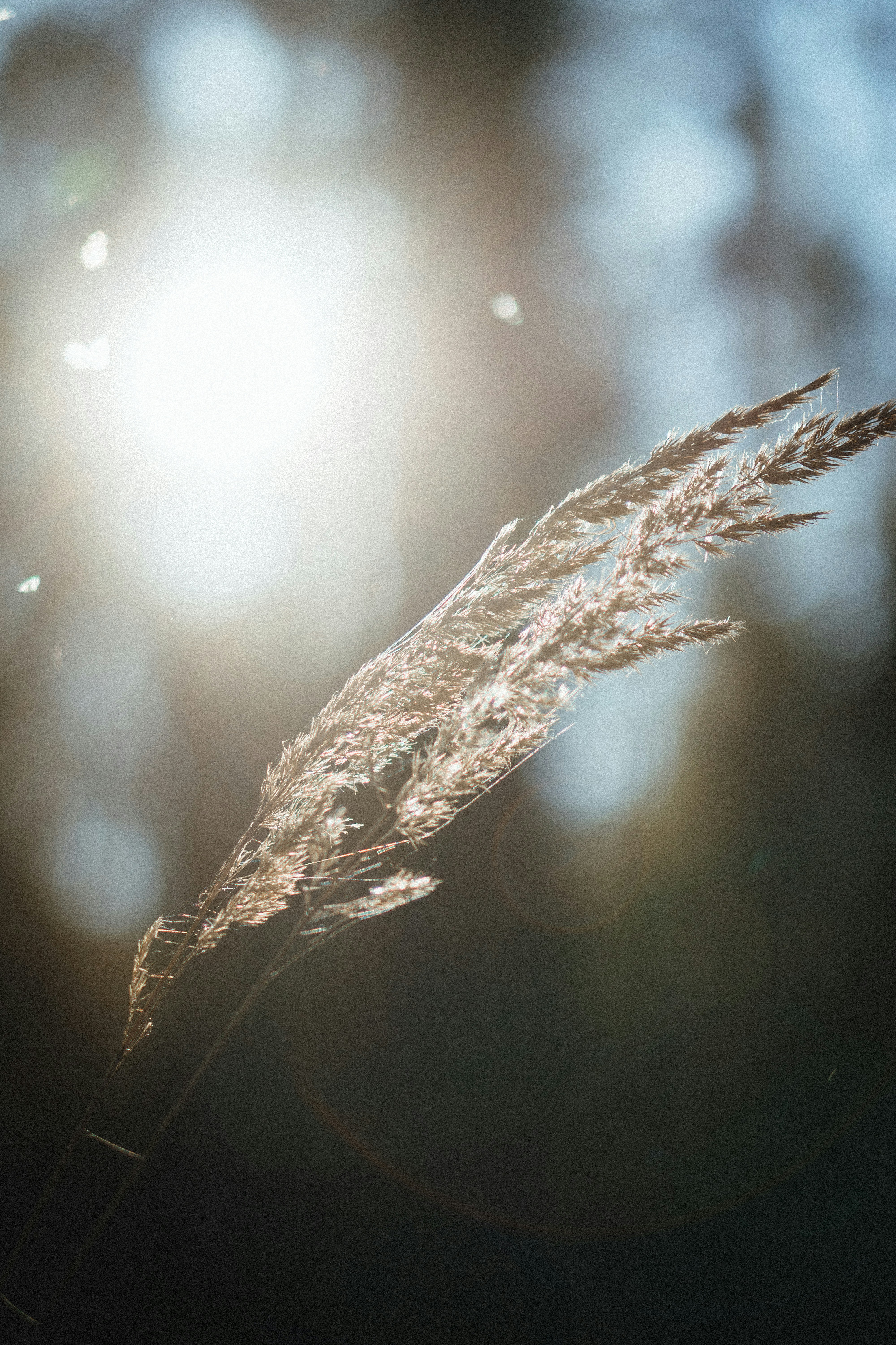 Photo by ulitretynychenko