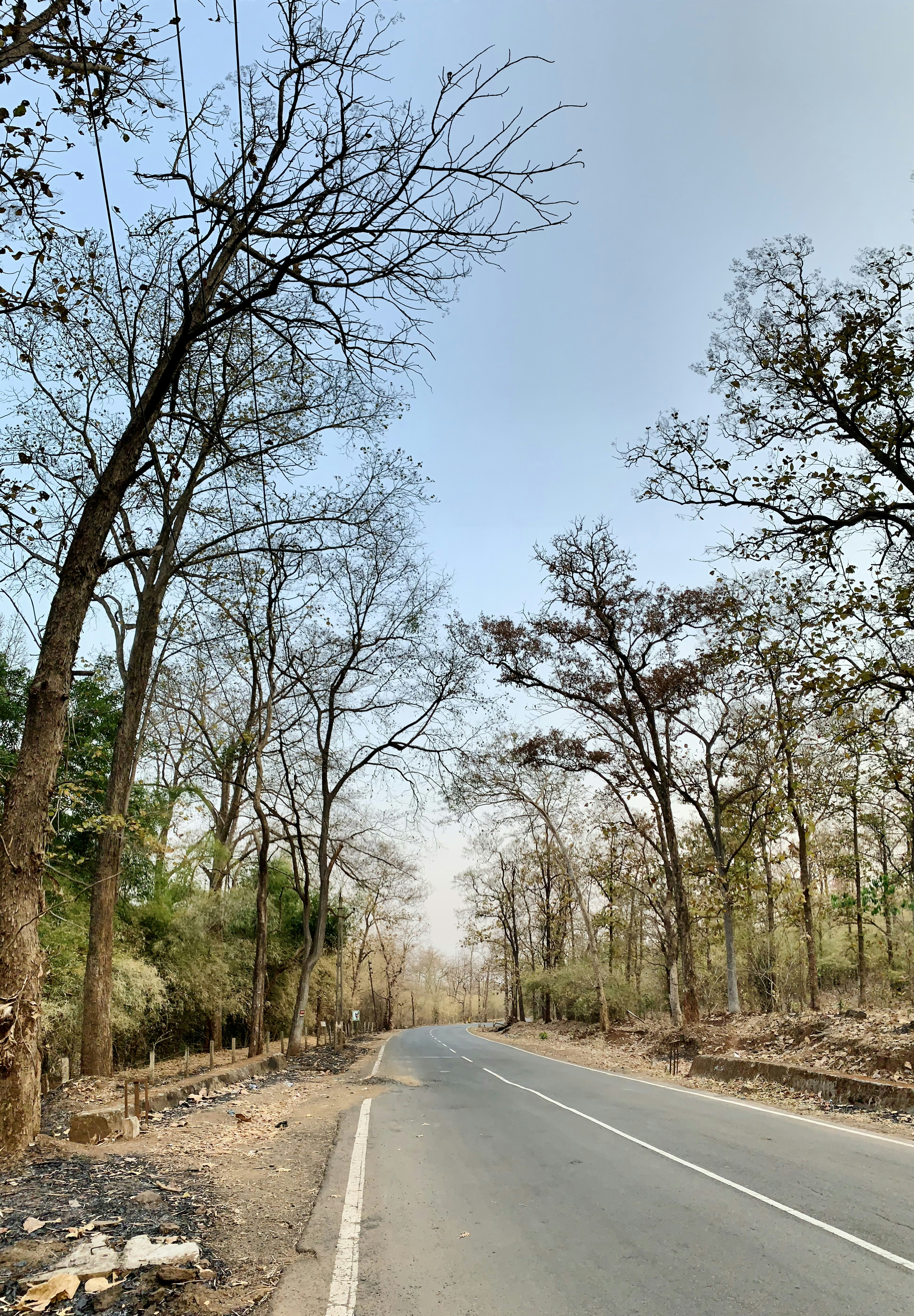 Photo by harshal_376