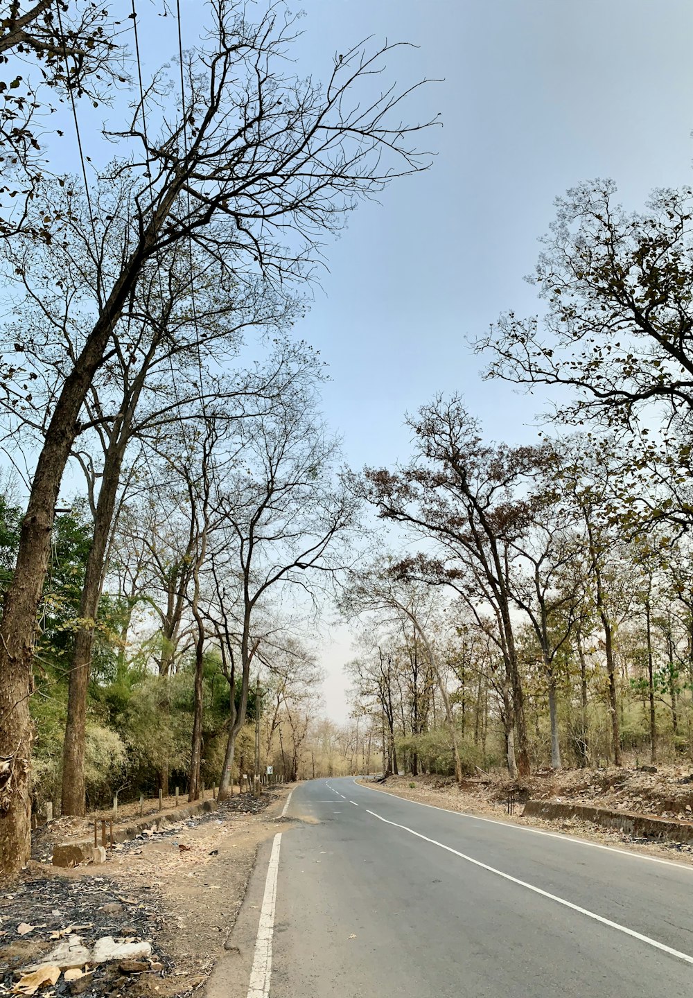 an empty road surrounded by trees on a sunny day