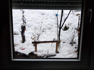 A snow-covered garden is visible through a window, featuring bare trees and shrubs lightly dusted with snow. A small bench and a few garden tools are partially buried under the snow.