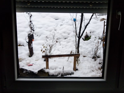 A snow-covered garden is visible through a window, featuring bare trees and shrubs lightly dusted with snow. A small bench and a few garden tools are partially buried under the snow.