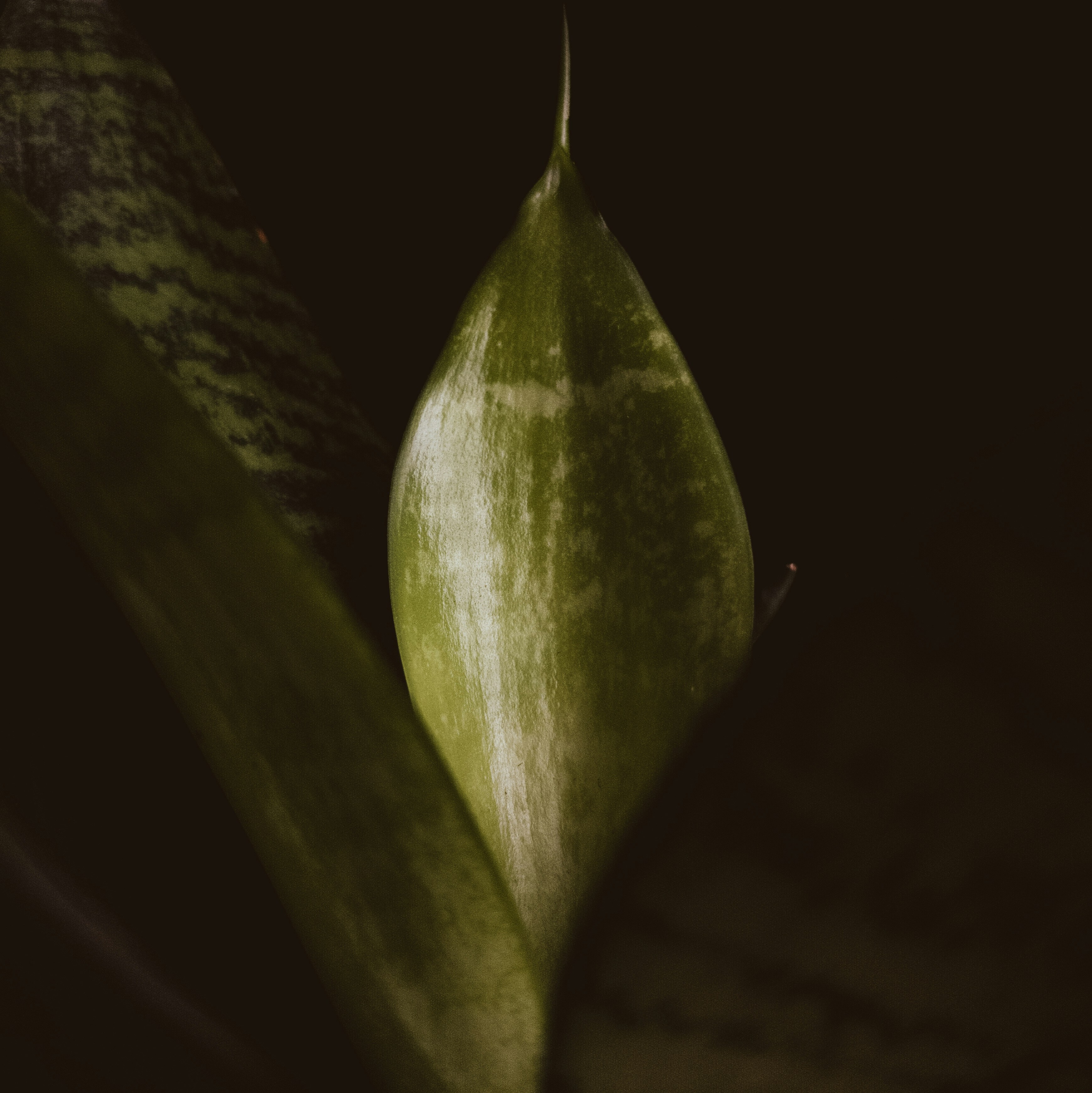 Photo by naturecapturer