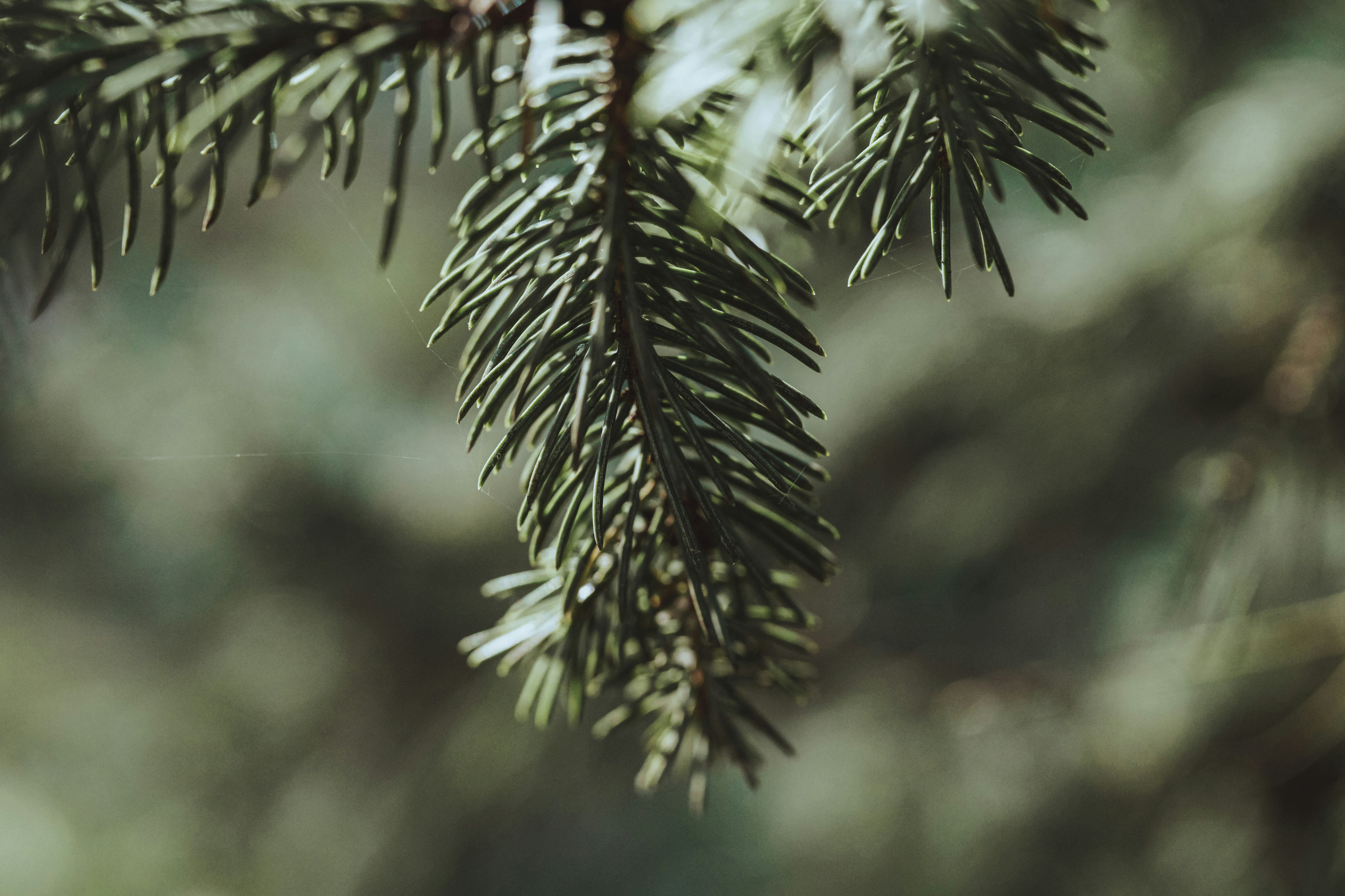 Photo by pixelpixel24