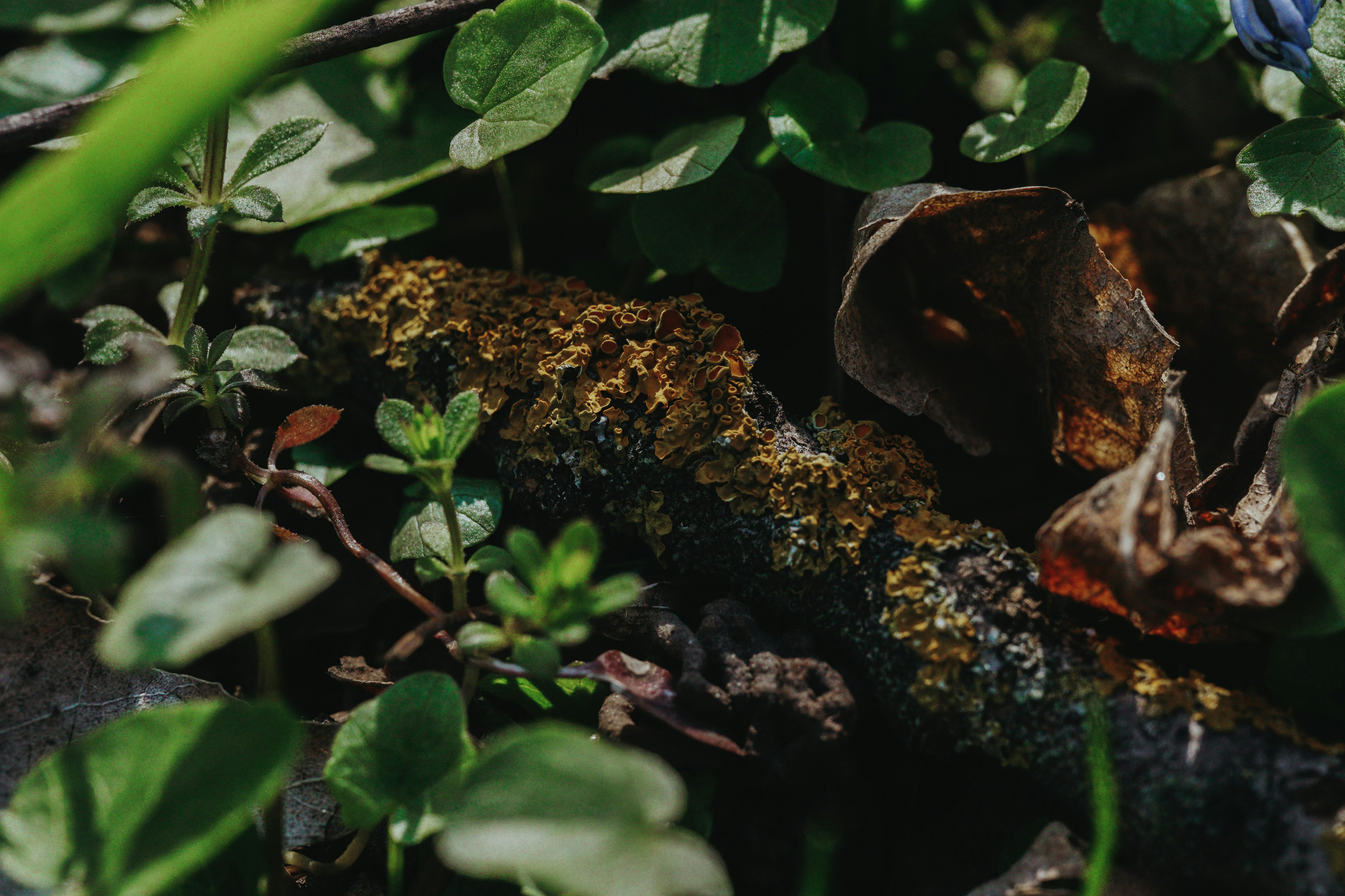 Photo by pixelpixel24