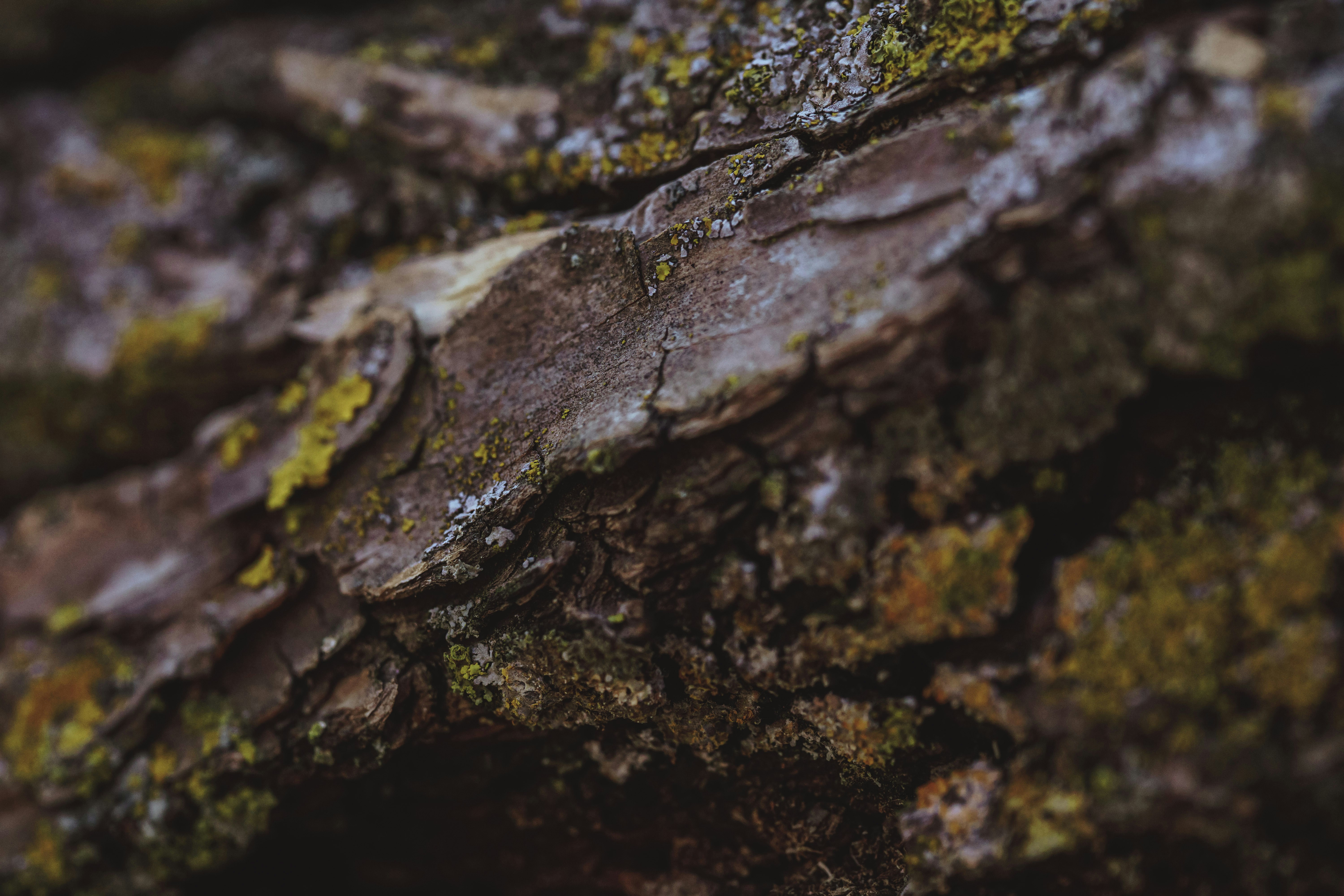 Photo by pixelpixel24