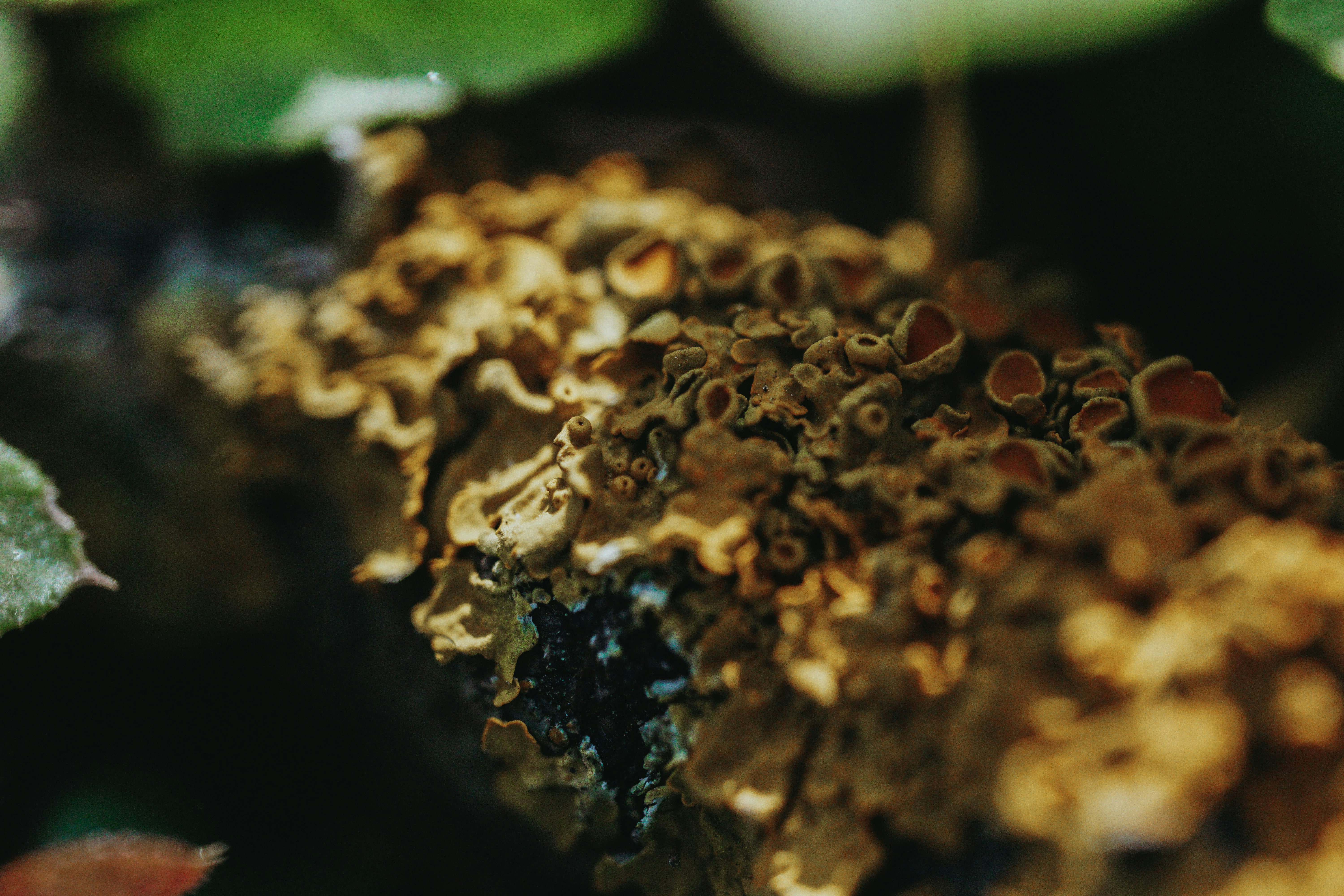 Photo by pixelpixel24