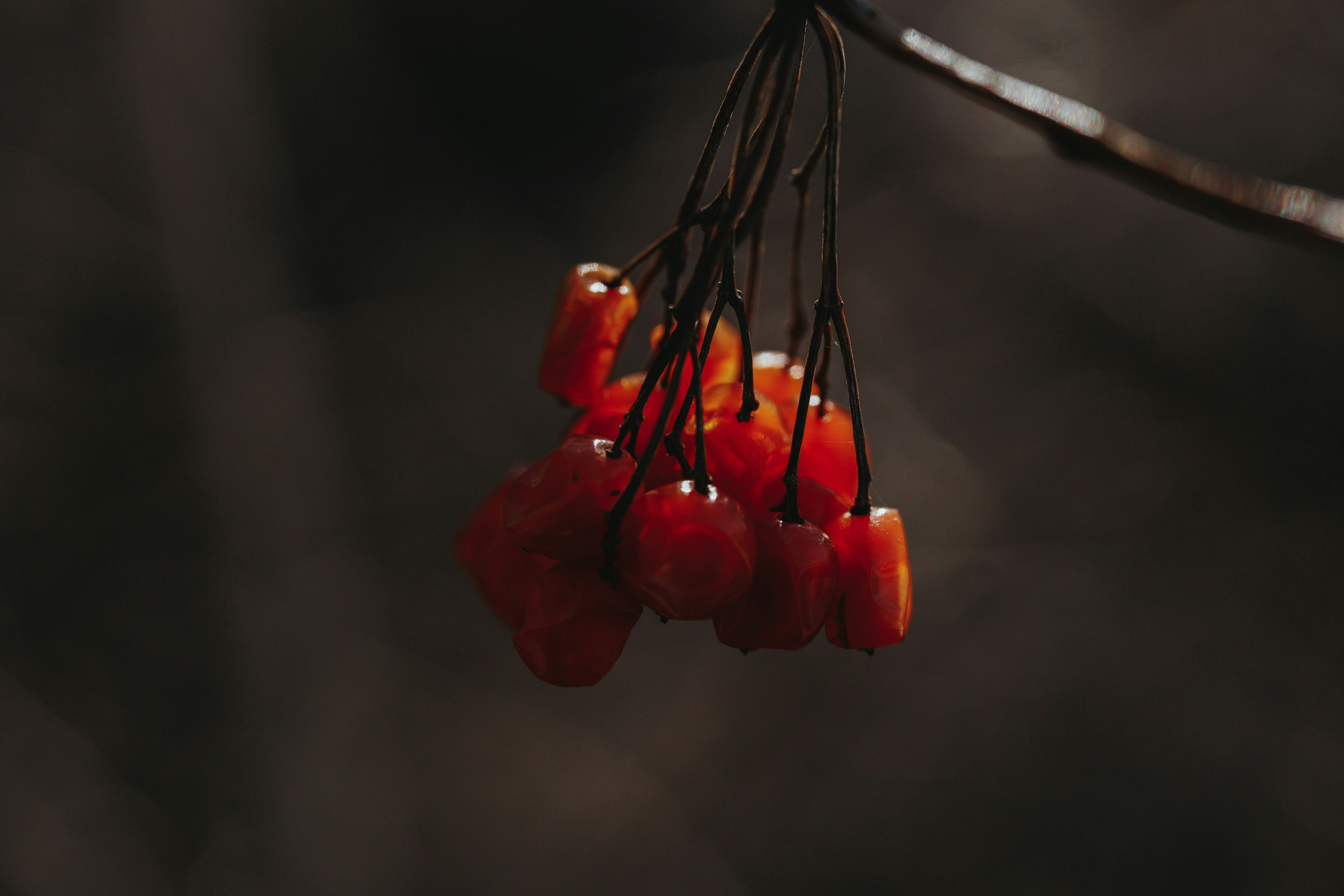 Photo by pixelpixel24