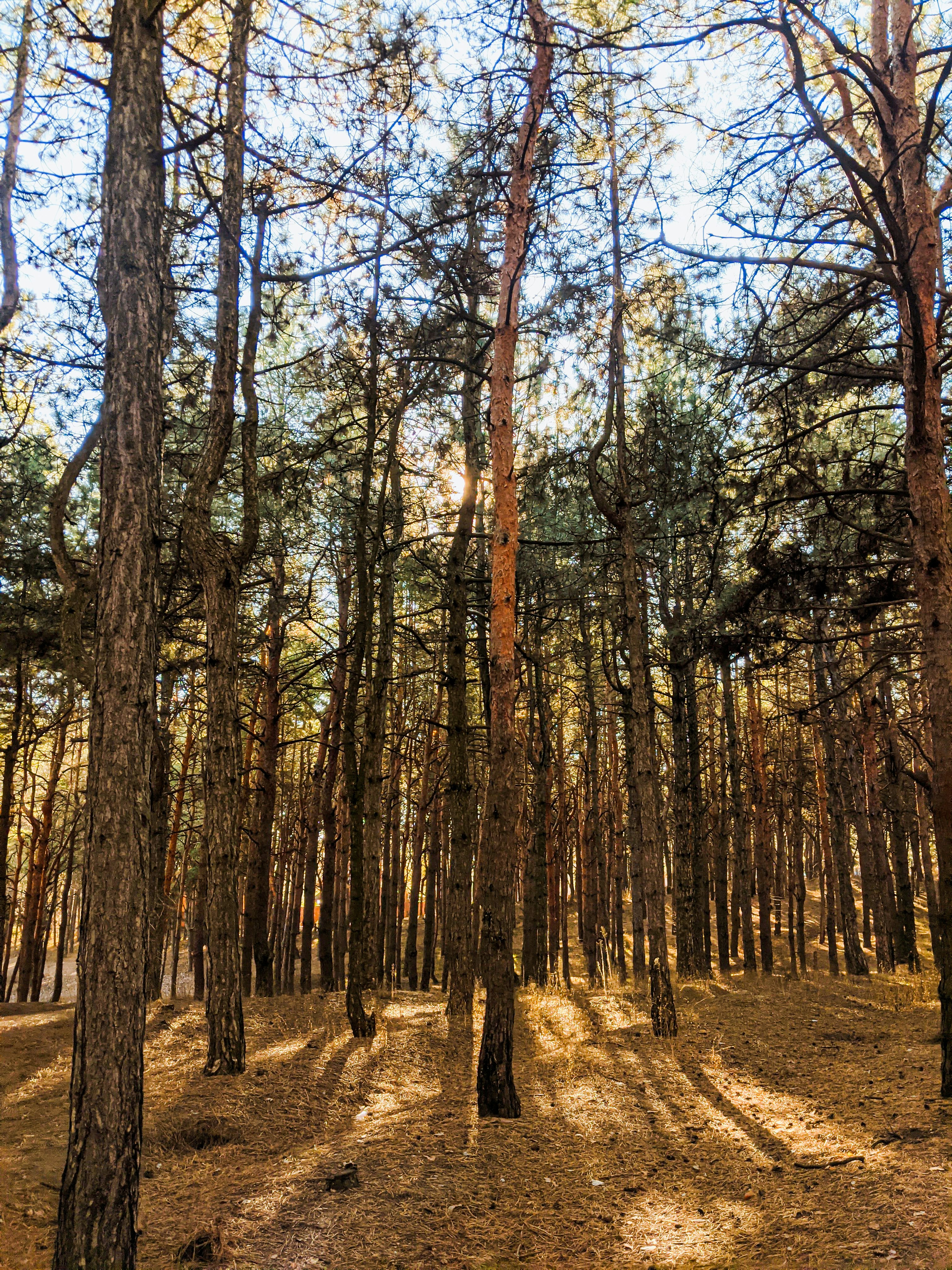 Photo by animgraphlab