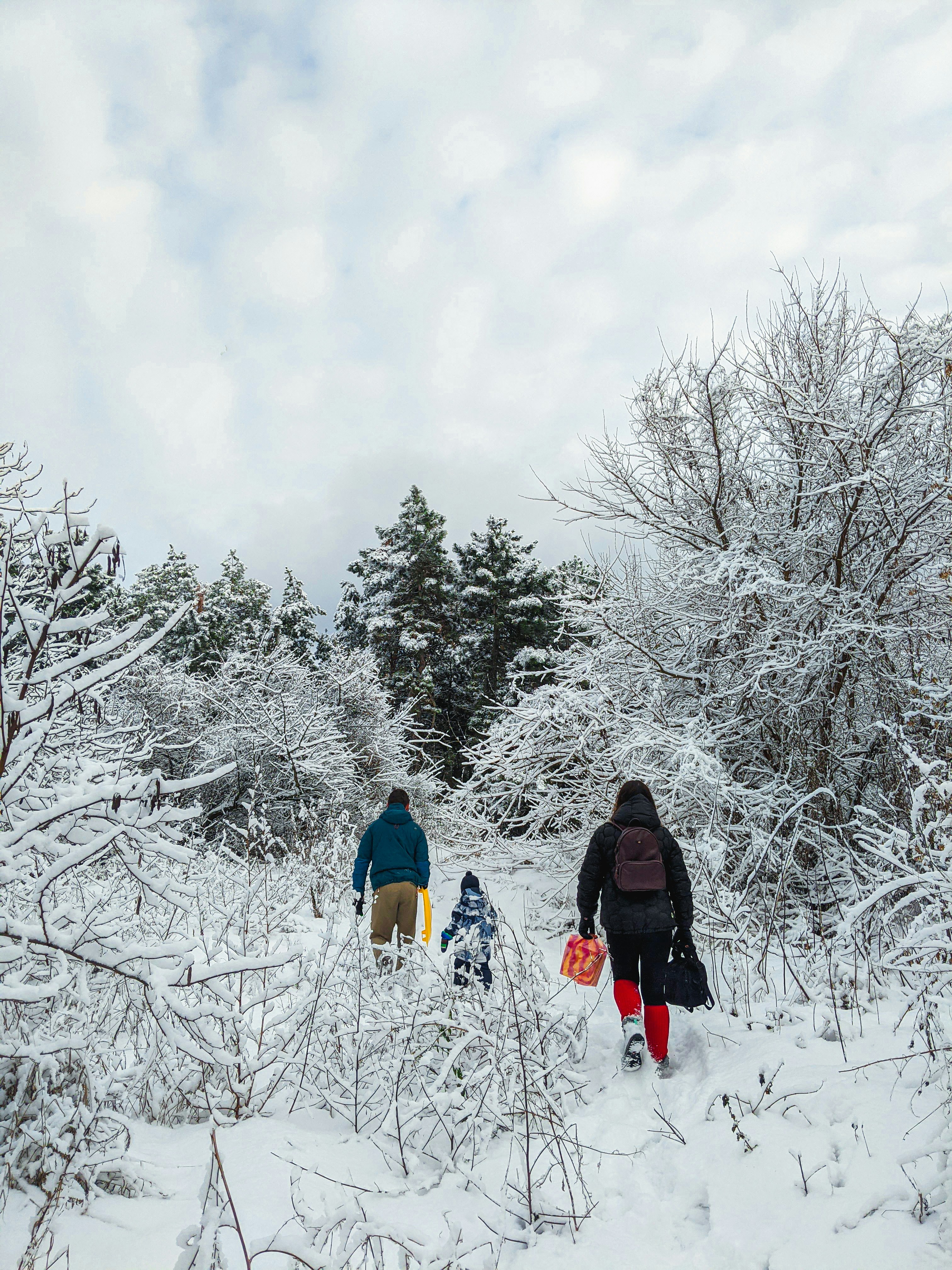 Photo by animgraphlab