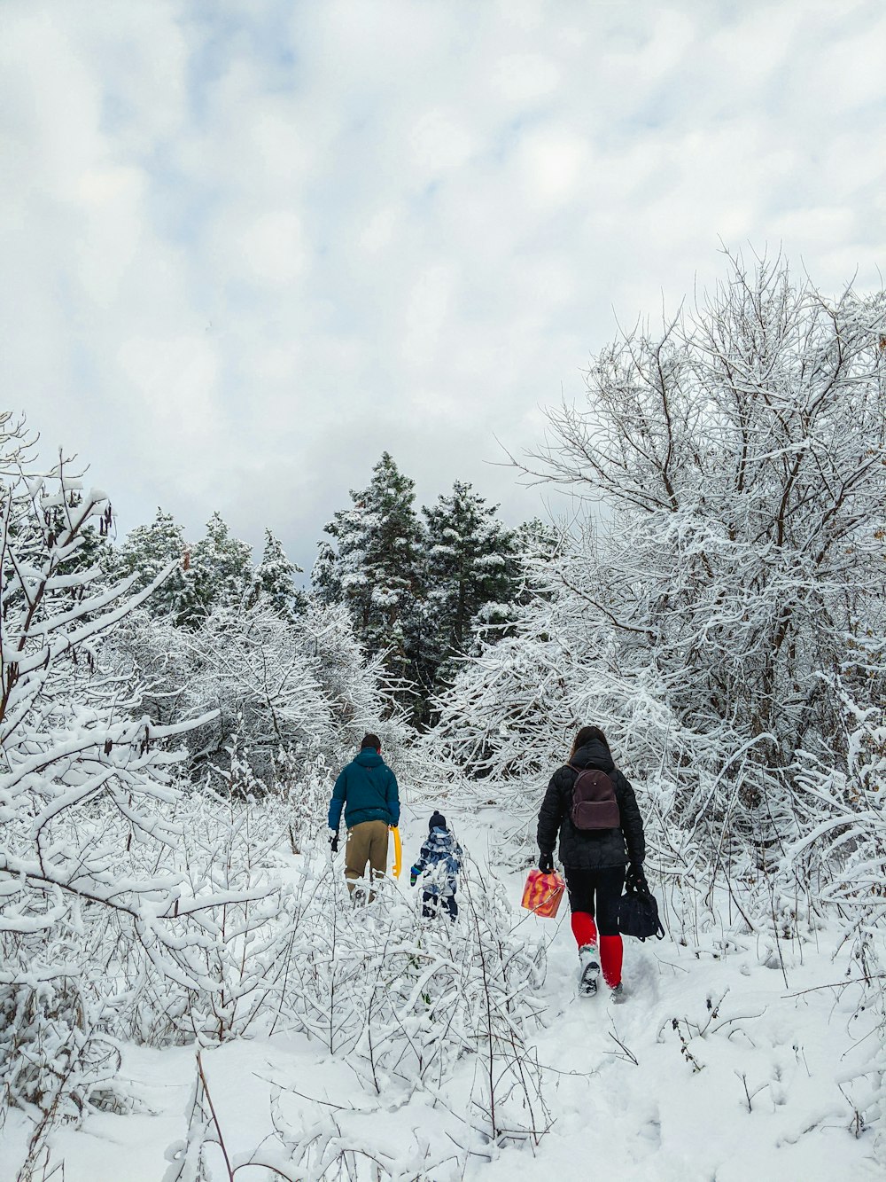 a group of people walking through a snow covered forest