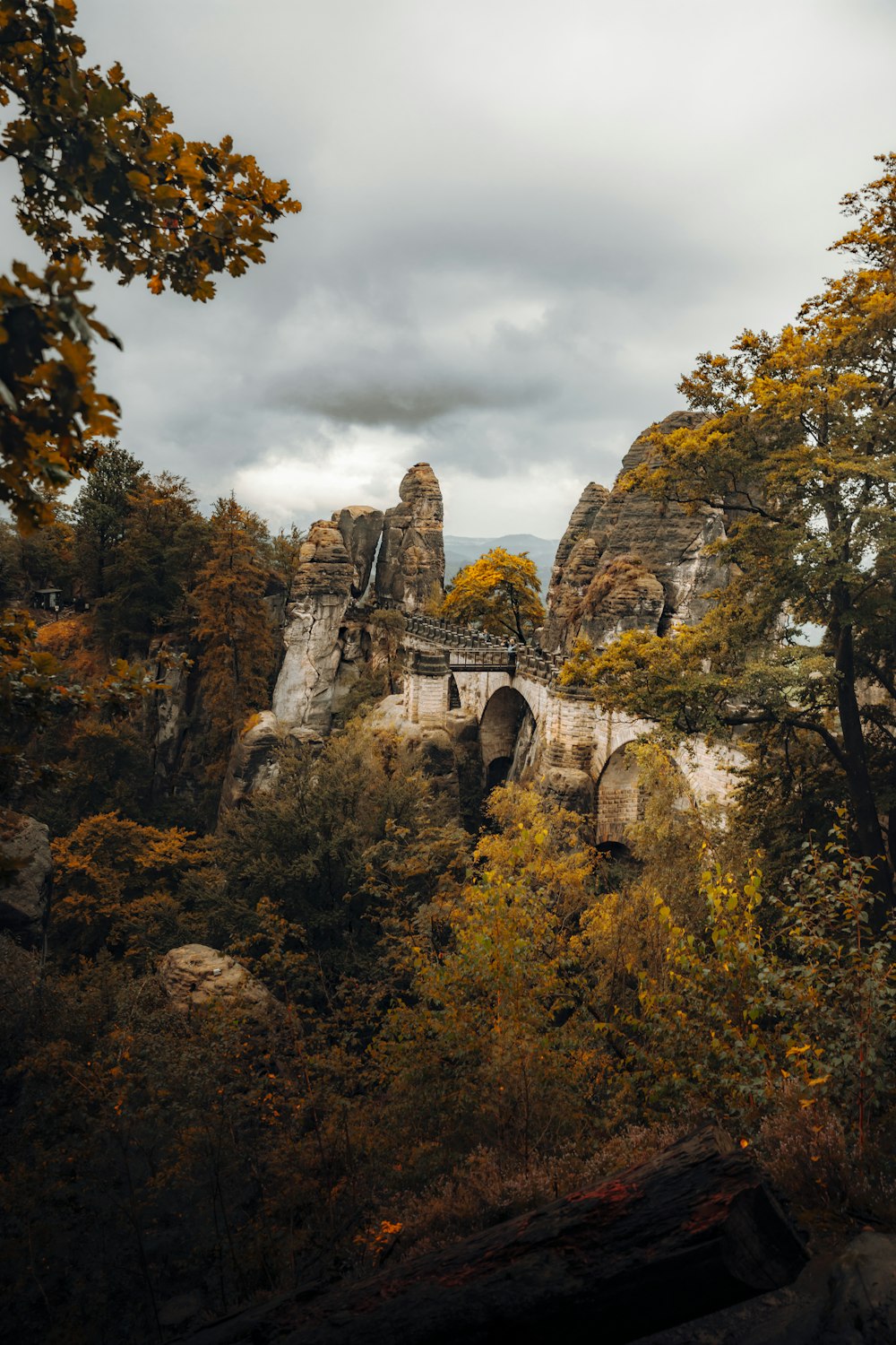 a large rock formation surrounded by trees on a cloudy day