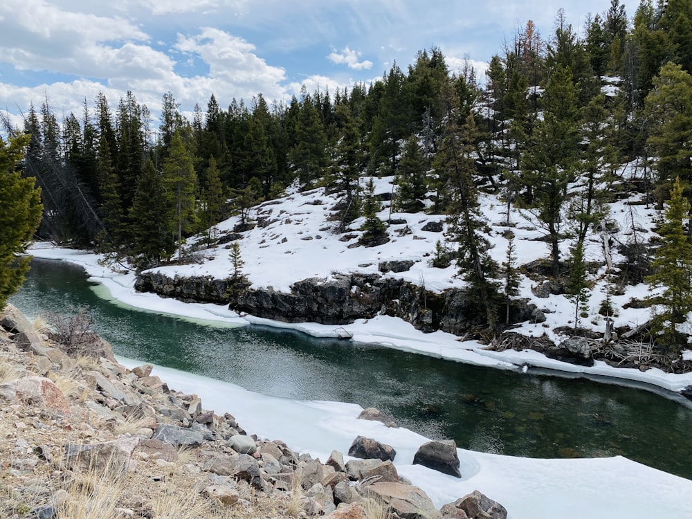 une rivière qui coule à travers une forêt enneigée