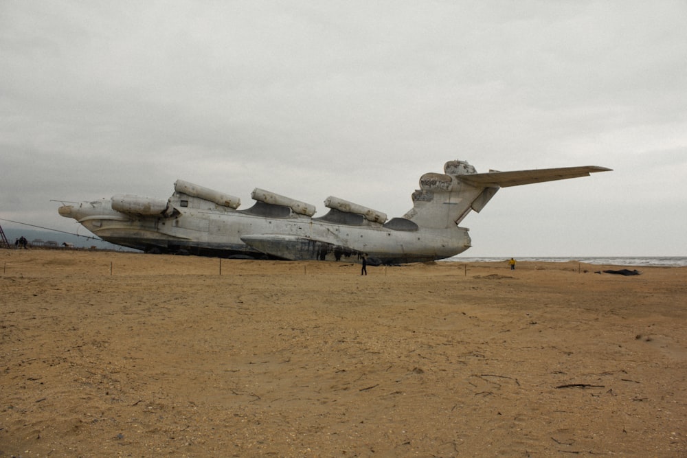 Ein großes Flugzeug sitzt auf einem Sandstrand