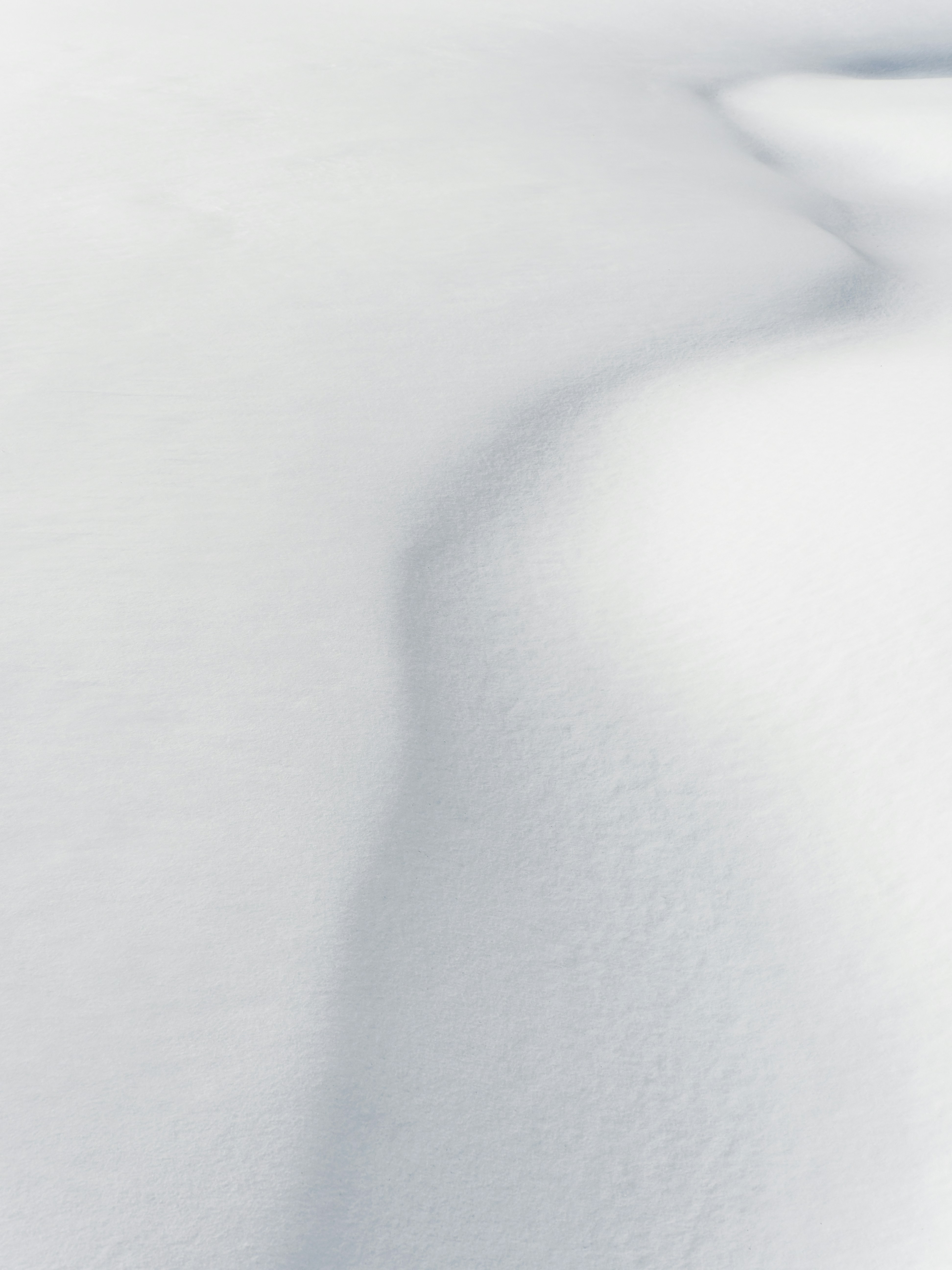 Photo by illes_cristi