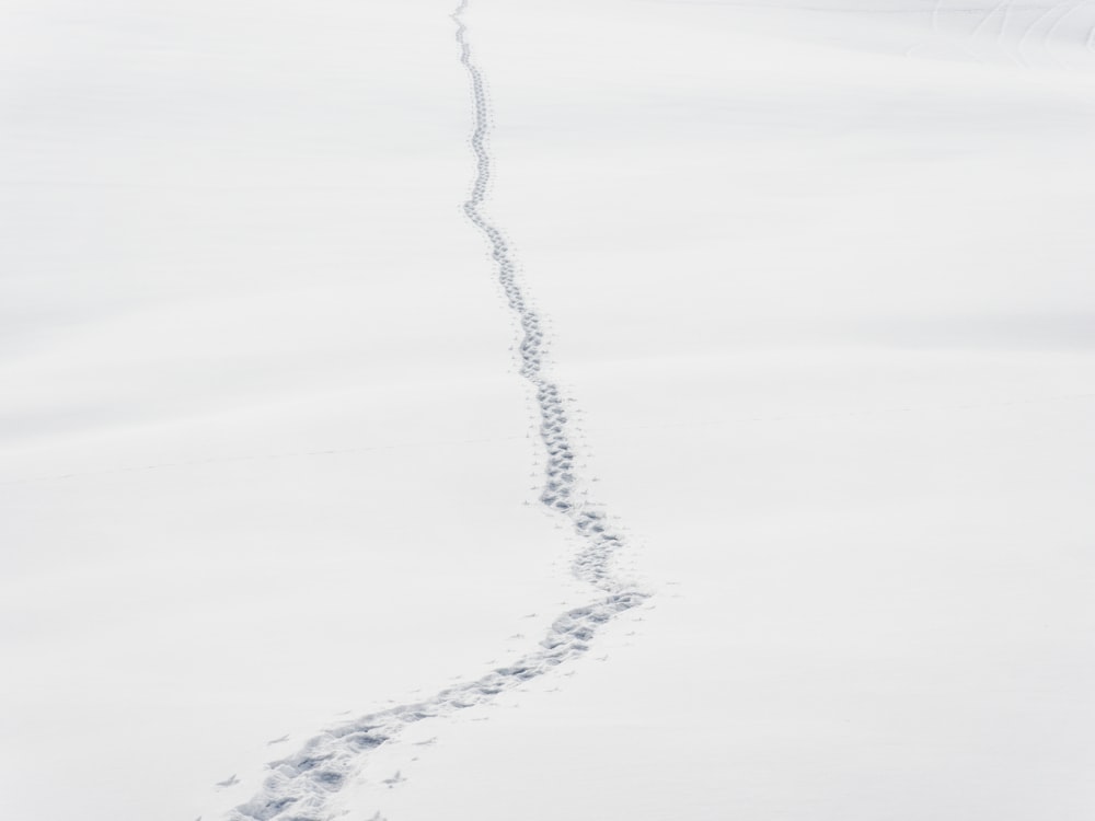 a long trail of tracks in the snow