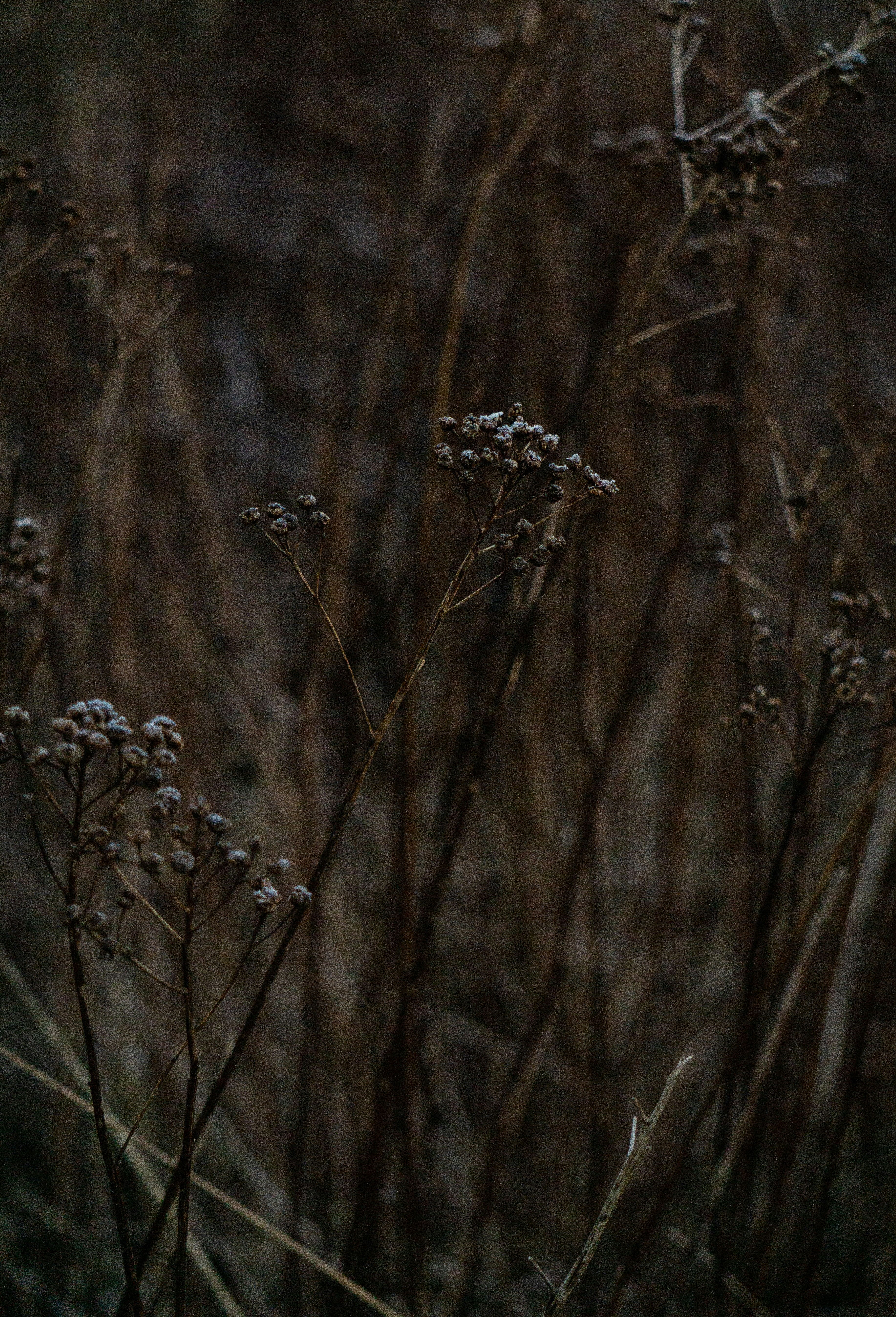 Photo by eszternaujoks