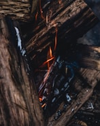 A close-up view of several pieces of wood burning, with visible flames and charred edges. The wood is darkened from the fire, with ash and char marks evident on the surface.