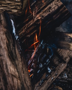 A close-up view of several pieces of wood burning, with visible flames and charred edges. The wood is darkened from the fire, with ash and char marks evident on the surface.
