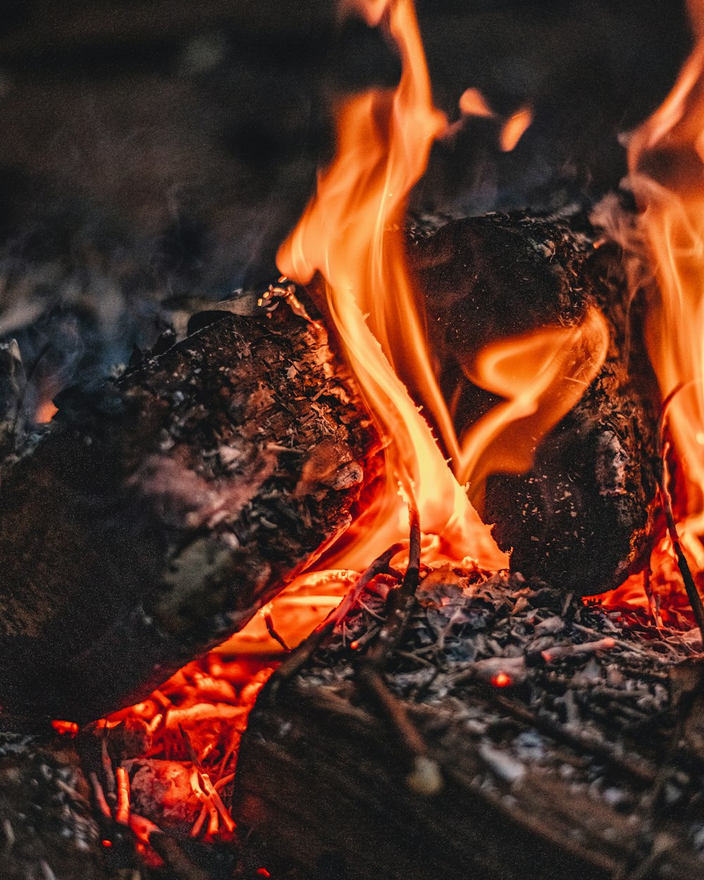 a close up of a fire burning in a fire pit