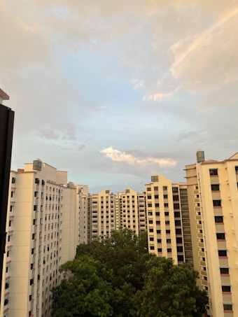Tall residential buildings are arranged in a close formation, overlooking dense clusters of green trees. The sky above has a soft, pastel mix of blues and creams, suggesting a sunset or sunrise.