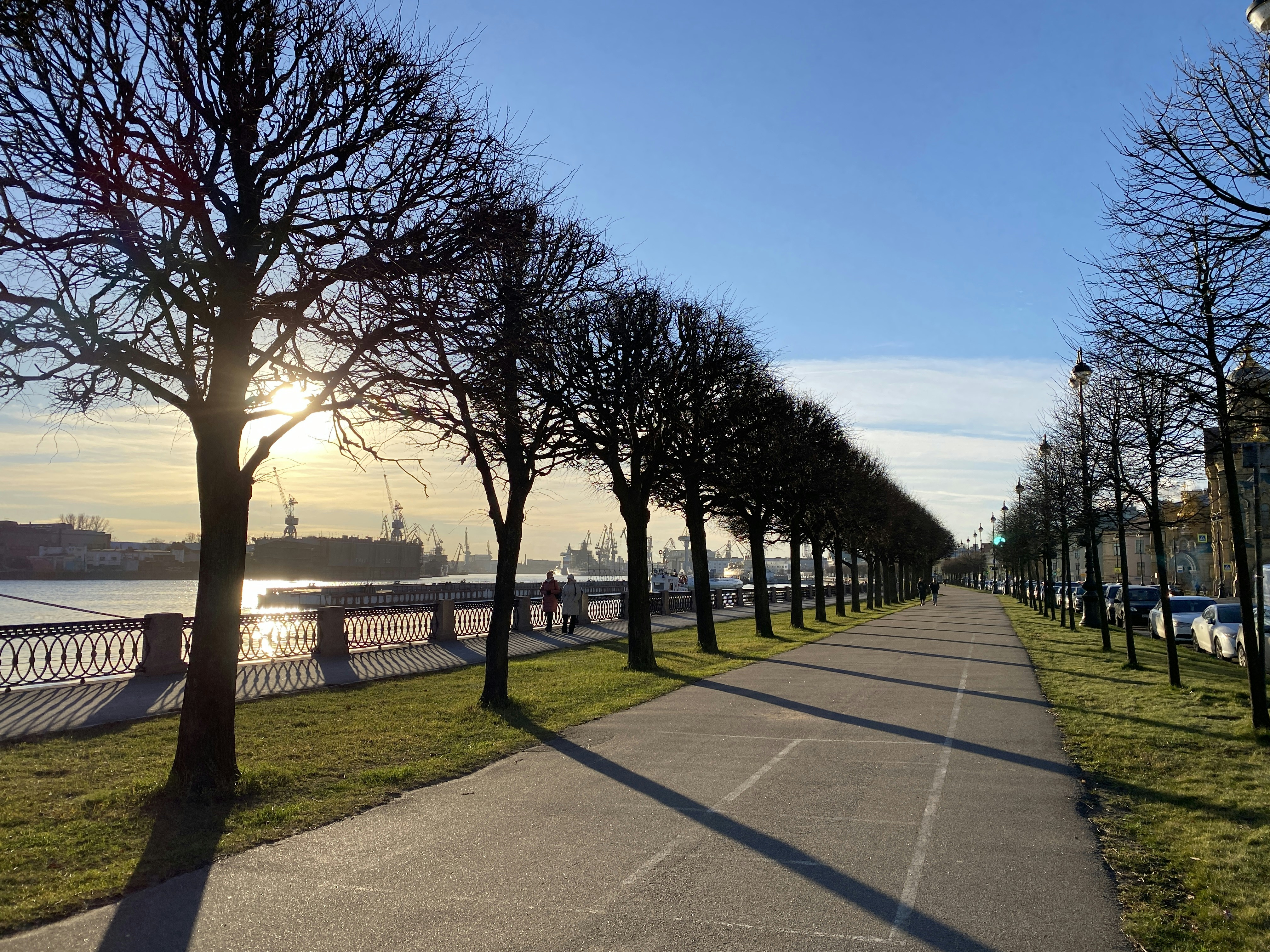 Un chemin pavé bordé d’arbres à côté d’un plan d’eau photo – Photo ...