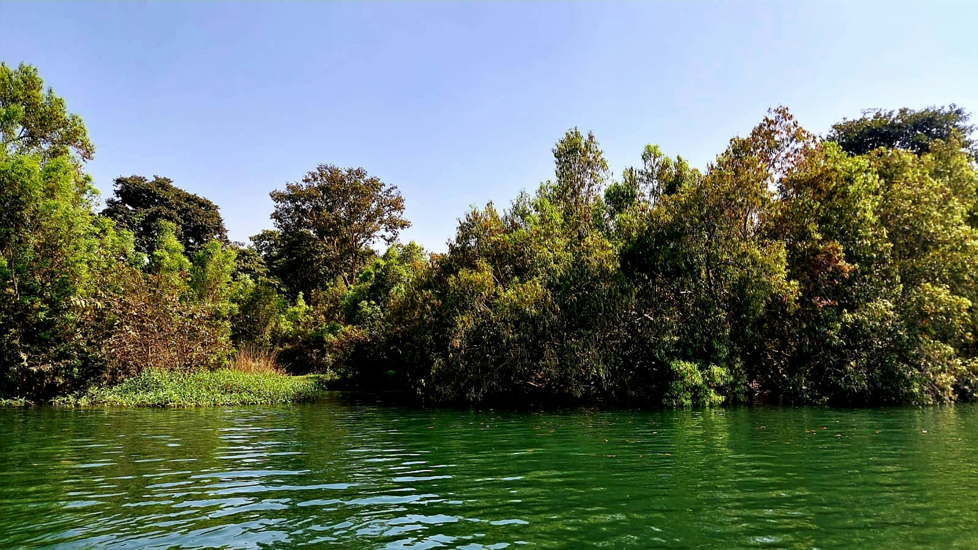 Photo by manasidubey07