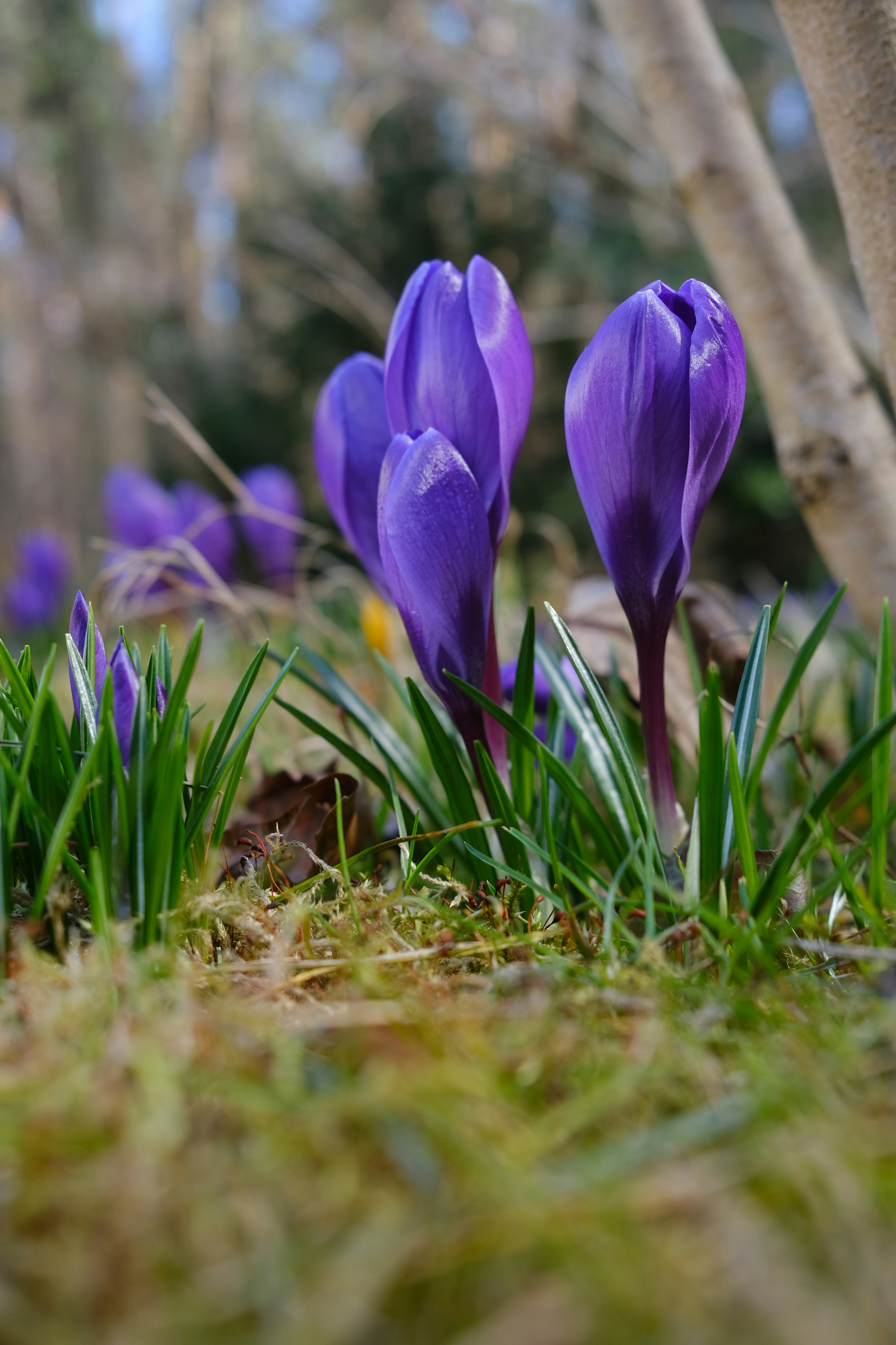 Photo by malinowskip