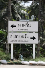 Two directional signs are shown with arrows pointing left and right, displayed in both Thai and English. The left arrow points to Haad Rin, and the right arrow indicates Amphoe Ko Pha Ngan. The signs are set against a backdrop of lush green foliage, with visible palm trees and electrical wires.
