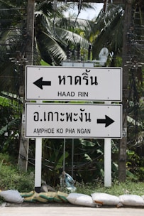 Two directional signs are shown with arrows pointing left and right, displayed in both Thai and English. The left arrow points to Haad Rin, and the right arrow indicates Amphoe Ko Pha Ngan. The signs are set against a backdrop of lush green foliage, with visible palm trees and electrical wires.