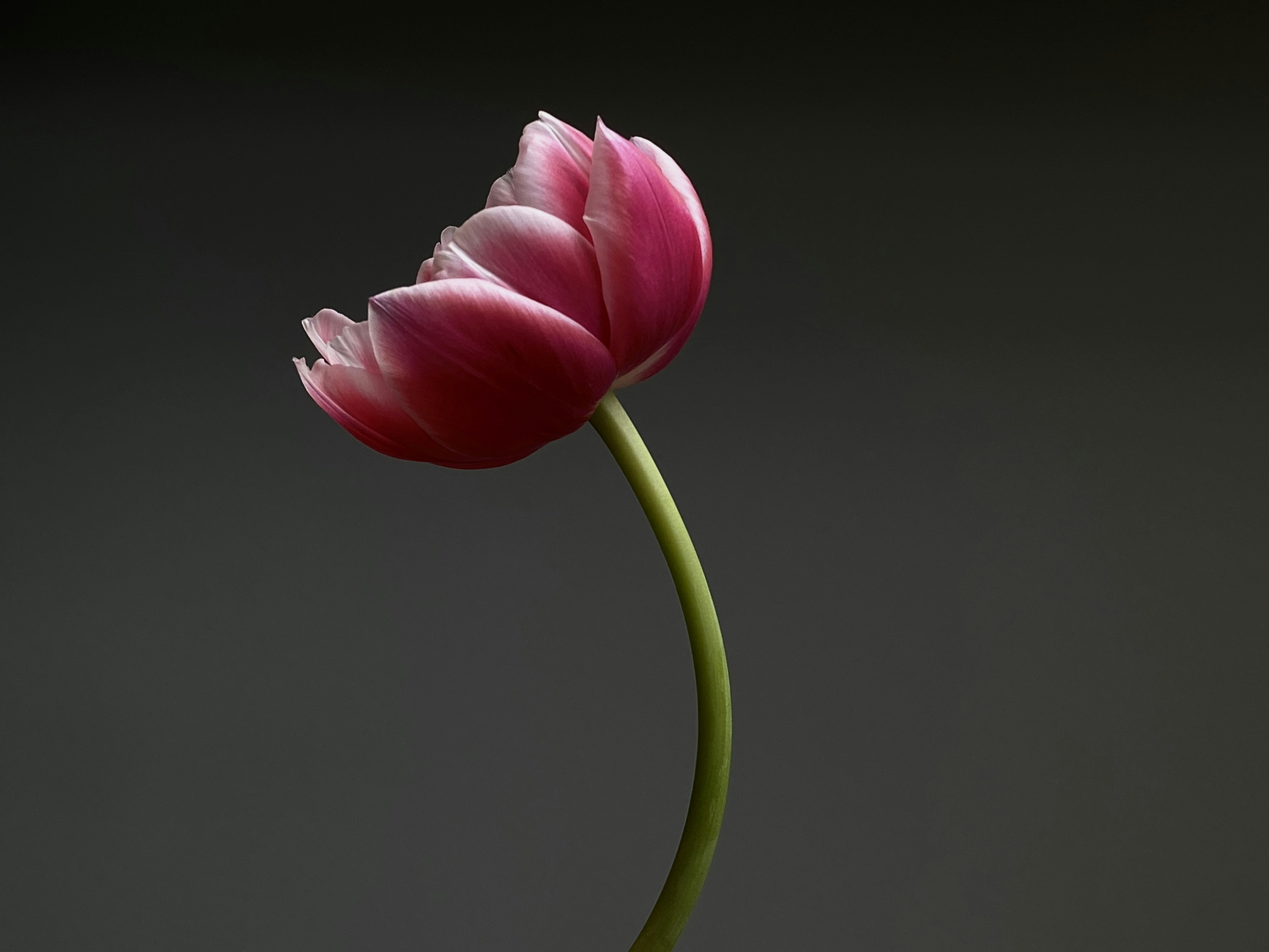 Photo by filipp_roman_photography