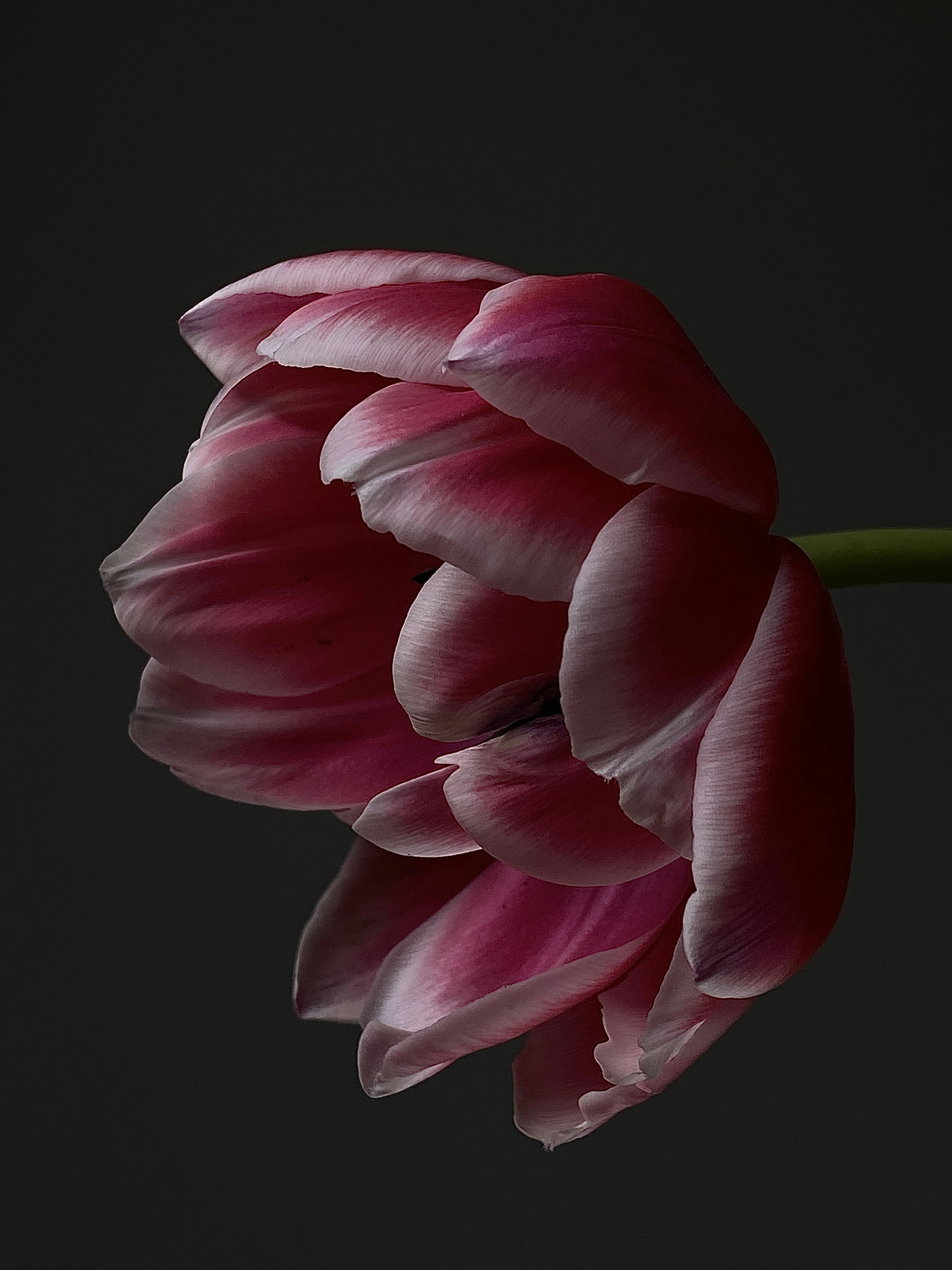 Photo by filipp_roman_photography