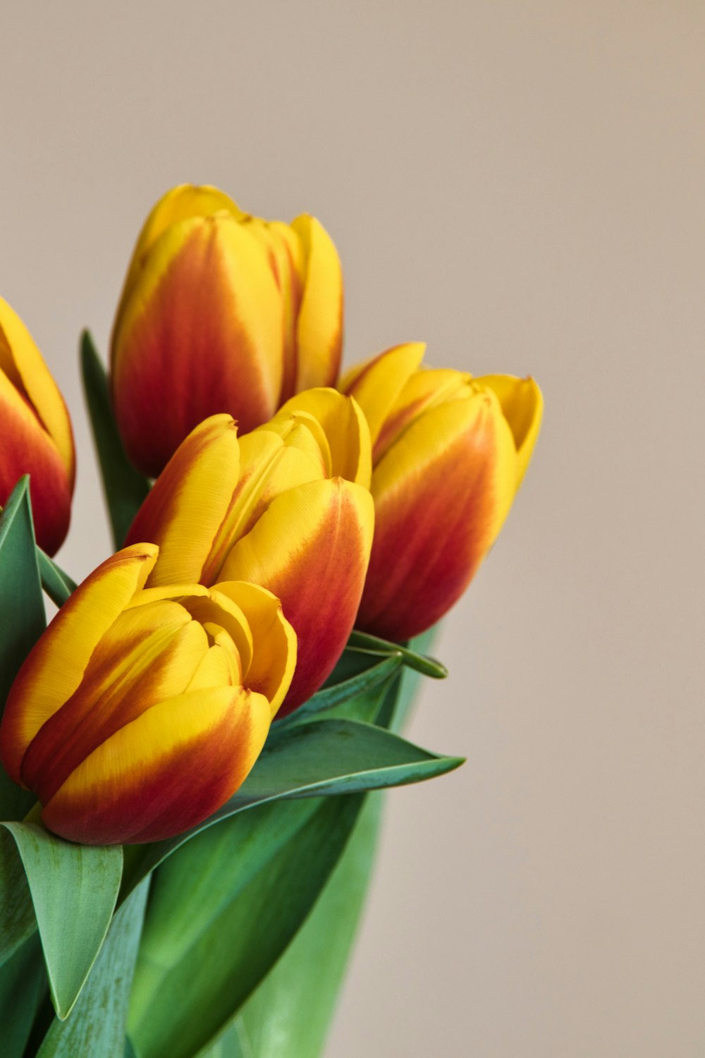 a vase filled with yellow and red flowers