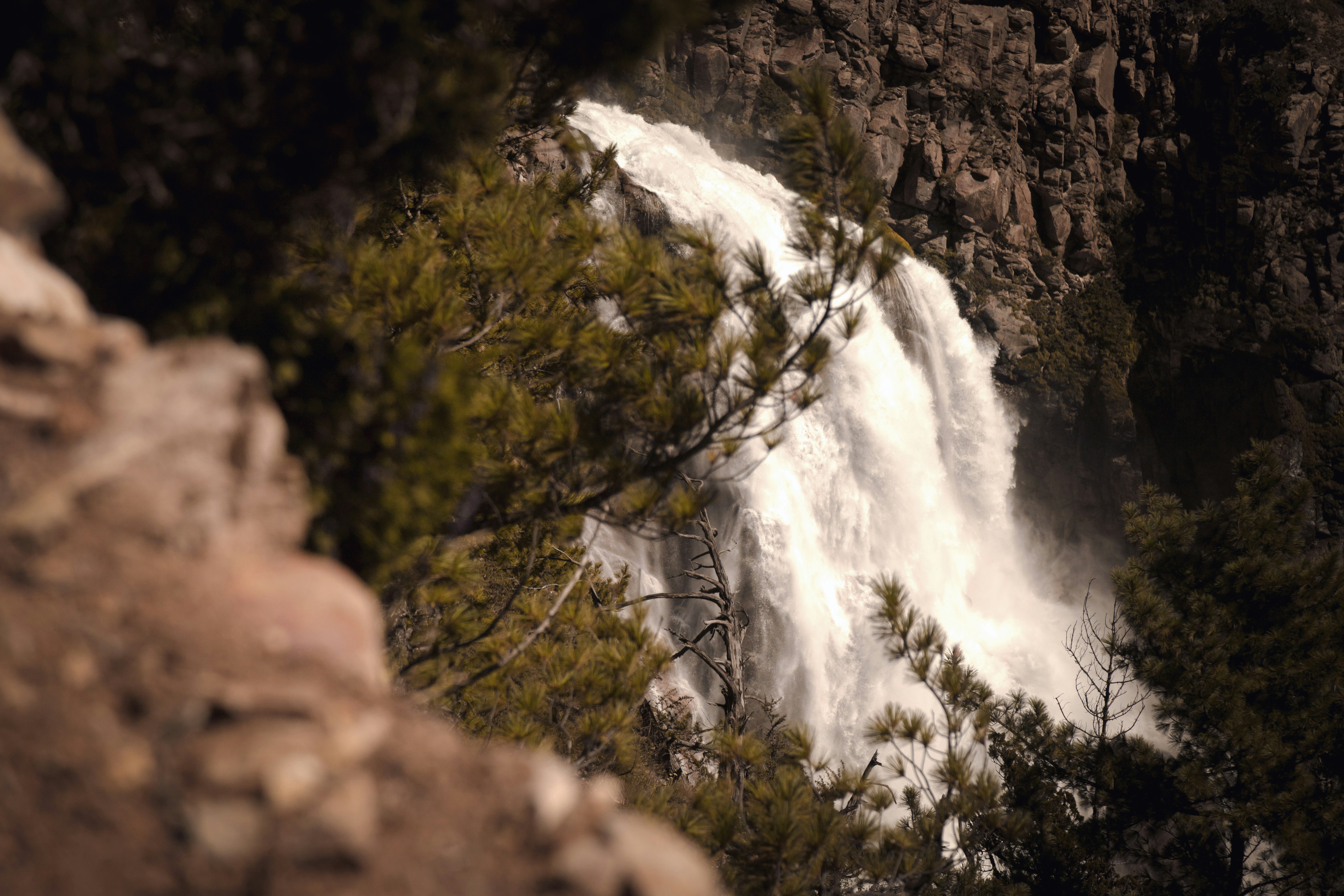 Photo by ashokjkshetri