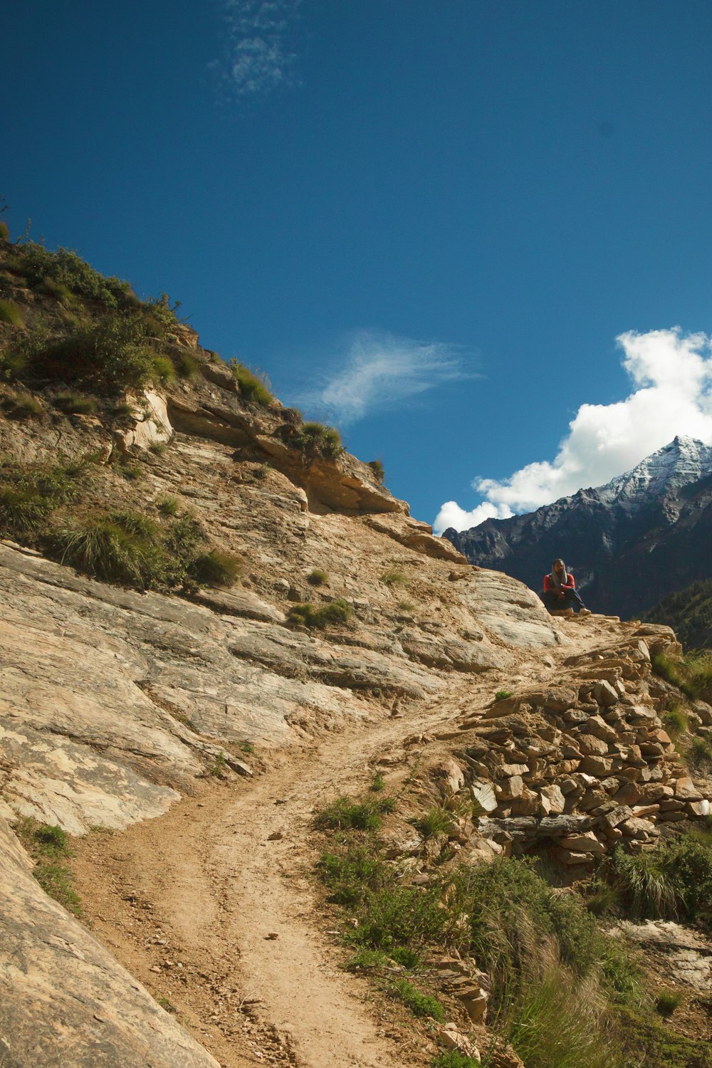 a dirt path with a mountain in the background