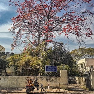 a motorcycle parked next to a tree with red flowers