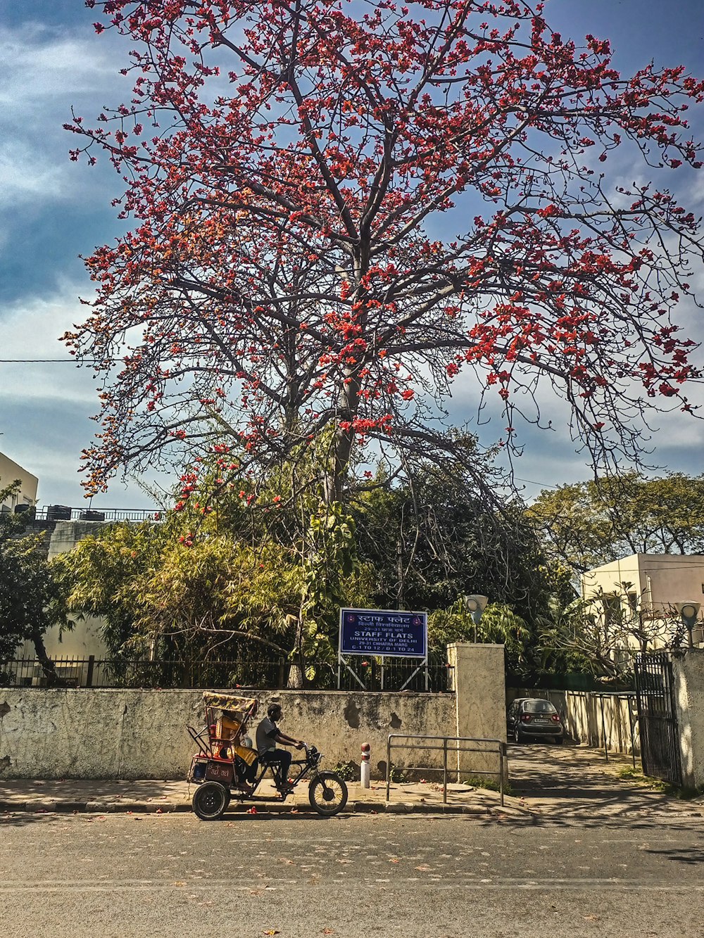 a motorcycle parked next to a tree with red flowers