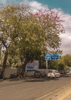 A street scene with a few cars parked along the side and a motorbike. Trees with dense foliage and pink flowers are prominent in the background. A blue road sign provides directions to Azadpur and Civil Lines. A wall near the sidewalk displays advertisements and posters.