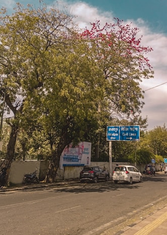 A street scene with a few cars parked along the side and a motorbike. Trees with dense foliage and pink flowers are prominent in the background. A blue road sign provides directions to Azadpur and Civil Lines. A wall near the sidewalk displays advertisements and posters.