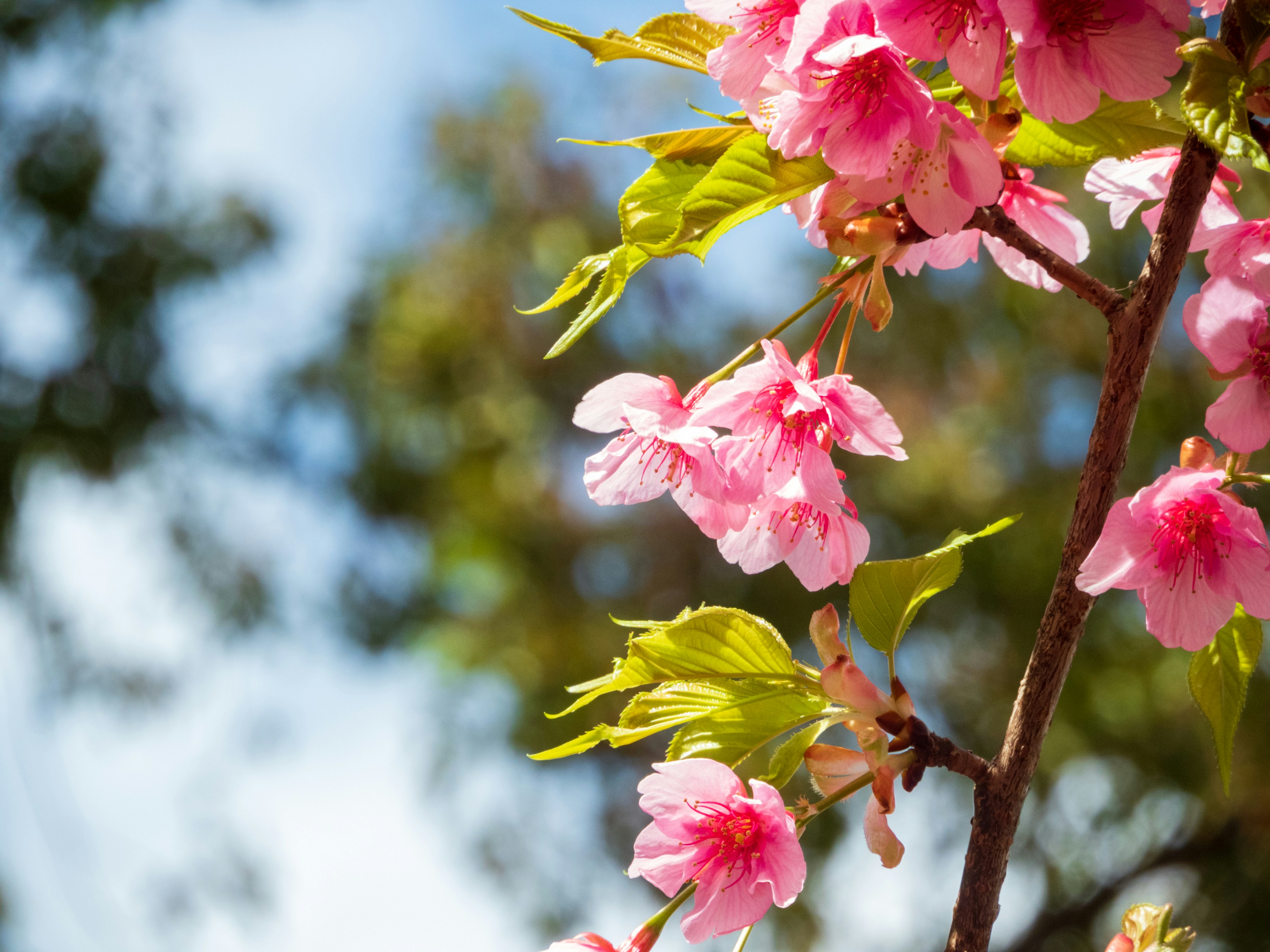 Photo by heppoko_yama