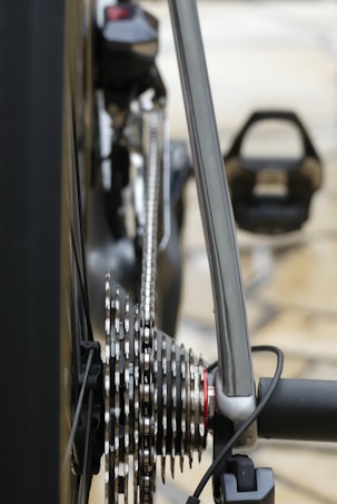 photo-1648384857989-47fbe8b7938e?q=85&w=543&h=453&fit=crop Blog