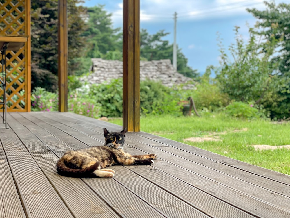 a cat that is laying down on a wooden deck