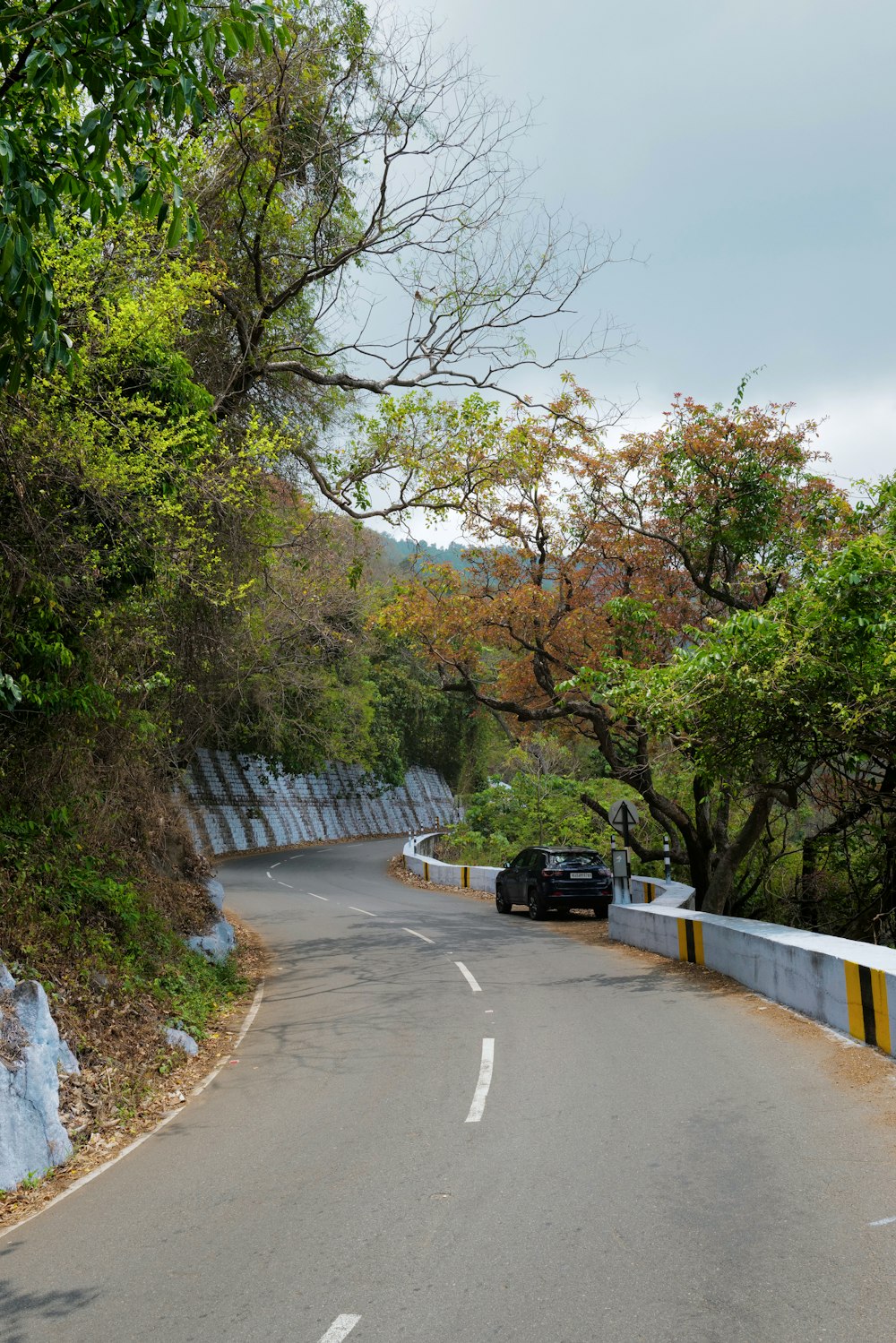 a car driving down a road next to a forest