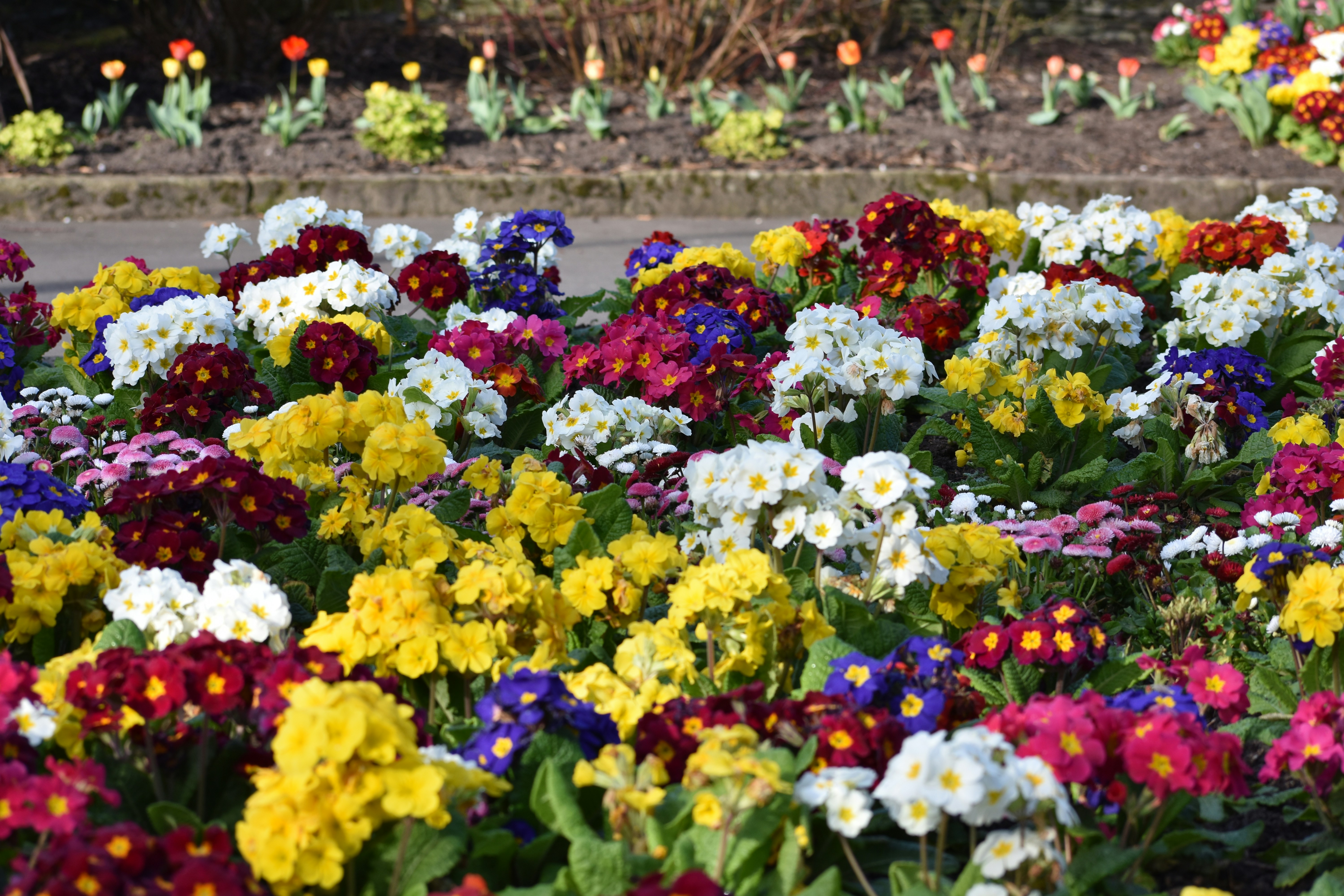 Photo by andrew_hall