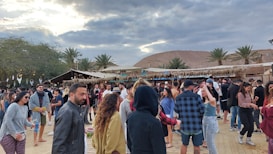 A group of people gather outdoors, with many individuals walking or standing in casual attire. The setting appears to be a lively social event or party, with a backdrop of palm trees, a thatched roof structure, and a large hill. The sky is overcast, with patches of blue and sunlight filtering through the clouds.