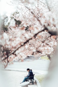 Japan Data Plan