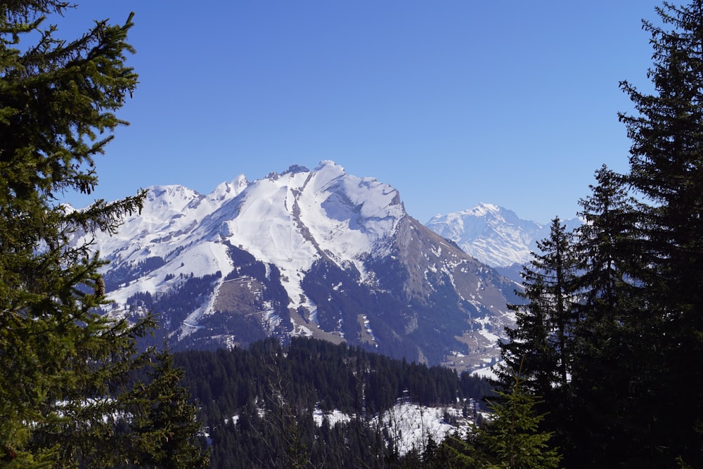 a view of a snow covered mountain through some trees