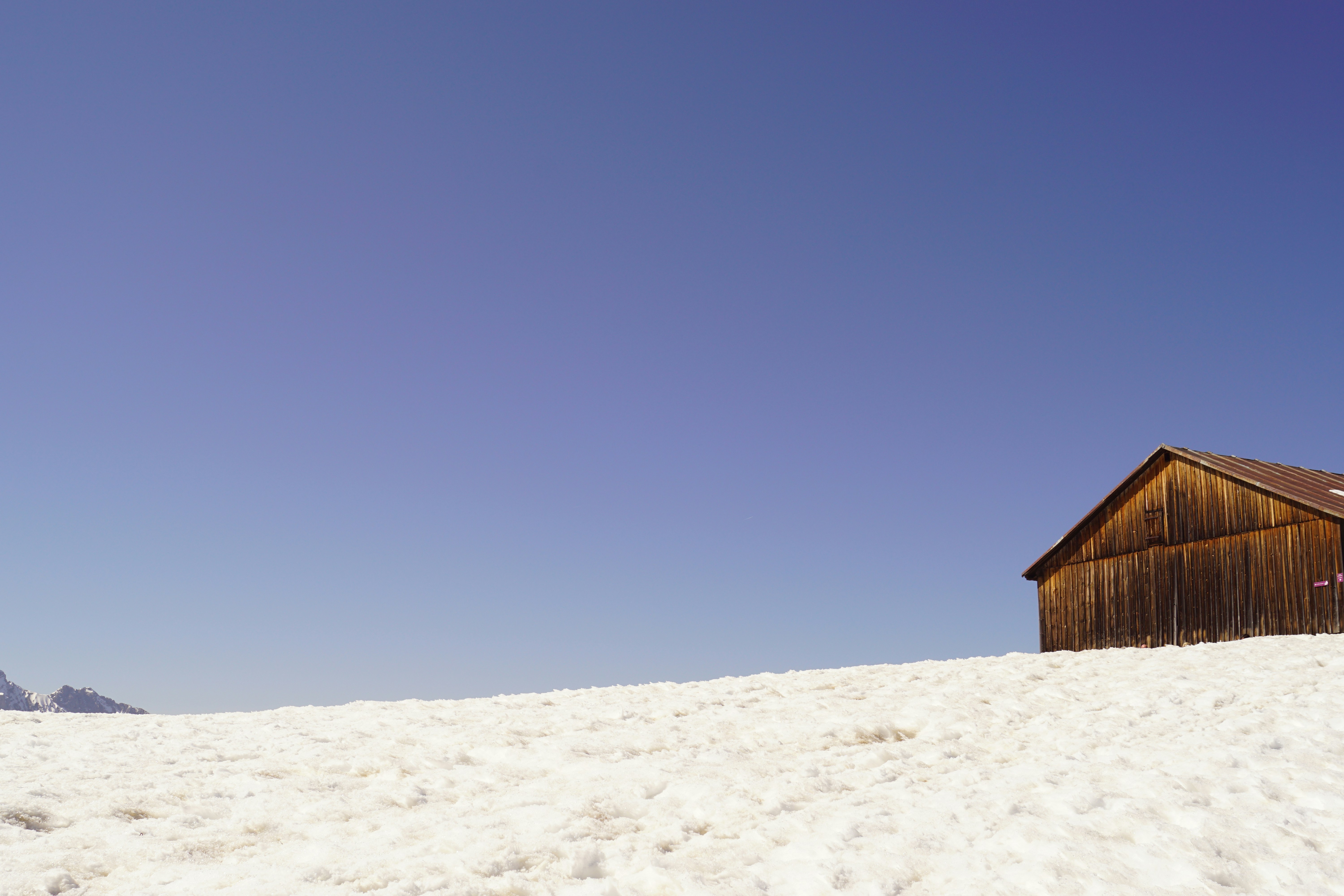 Photo by aurianeclem