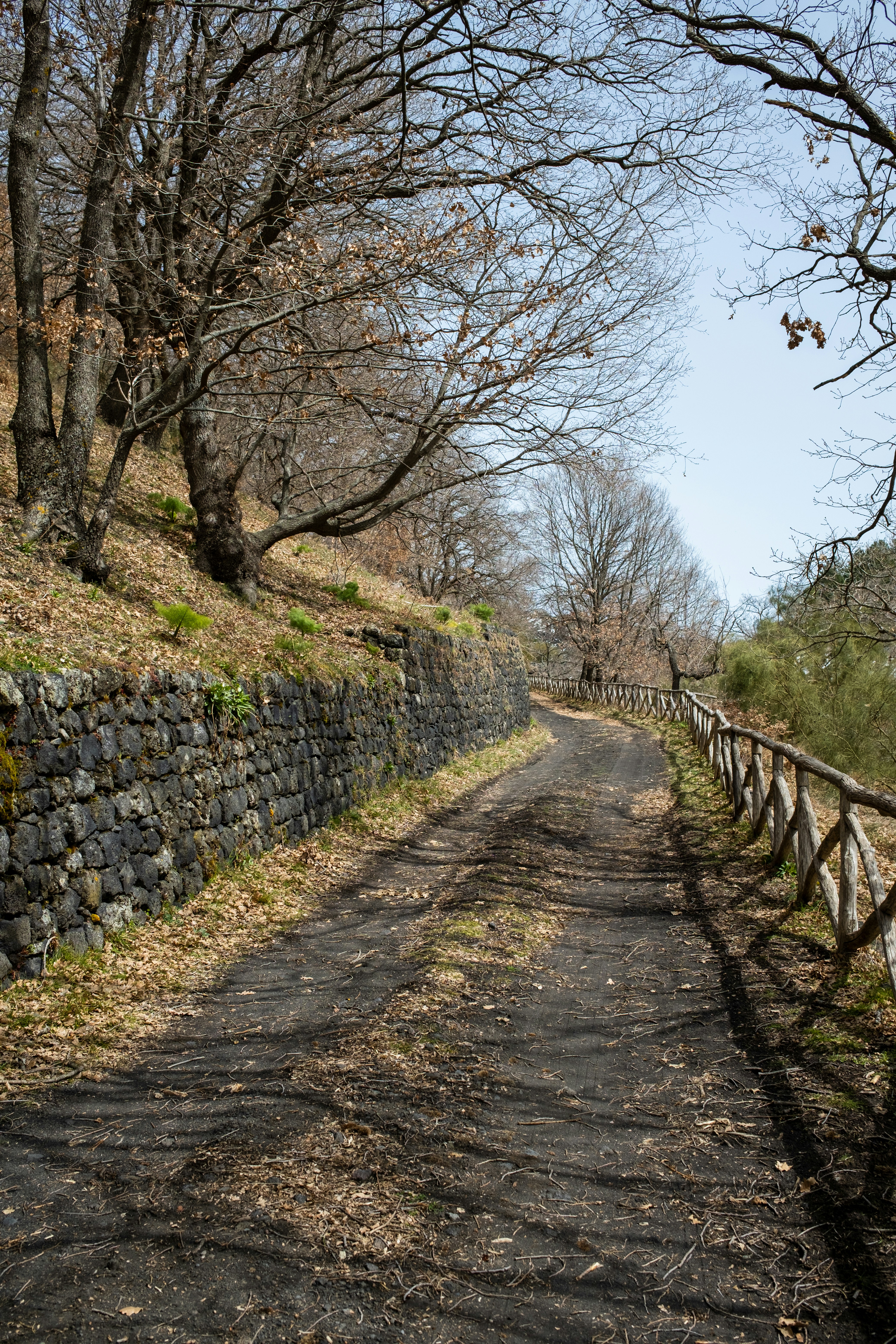 Photo by jose_maria_sava