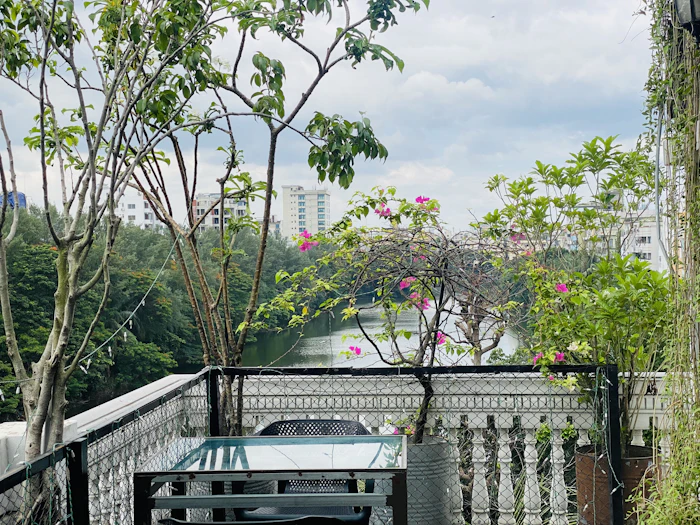 Brunch With A View