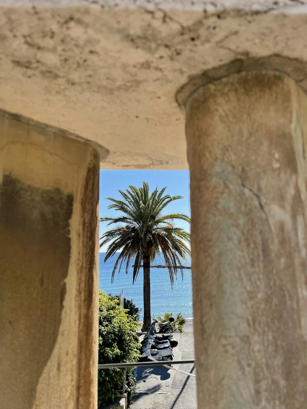 a palm tree is seen through a window